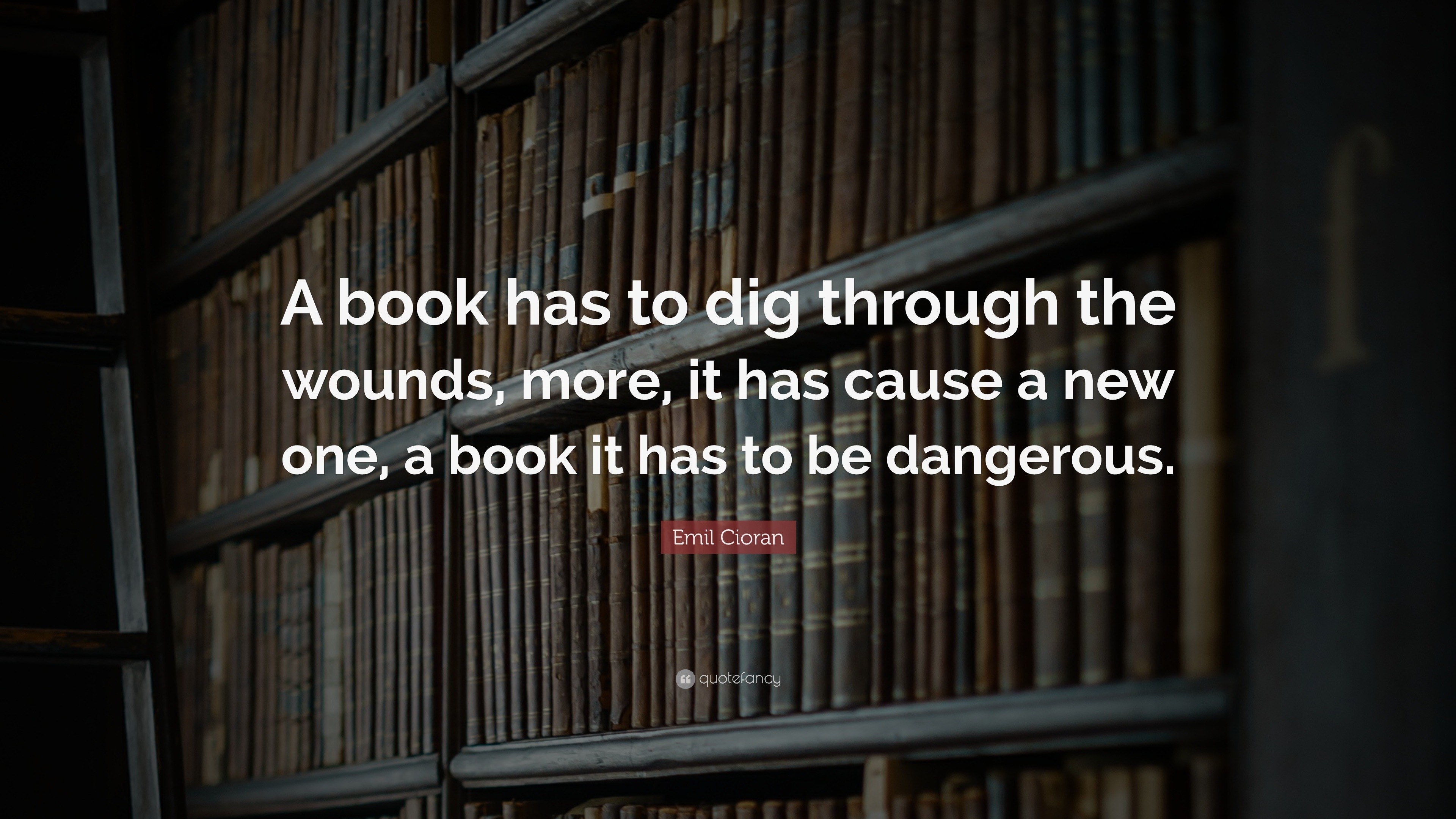 Emil Cioran Quote: “A book has to dig through the wounds, more, it has ...