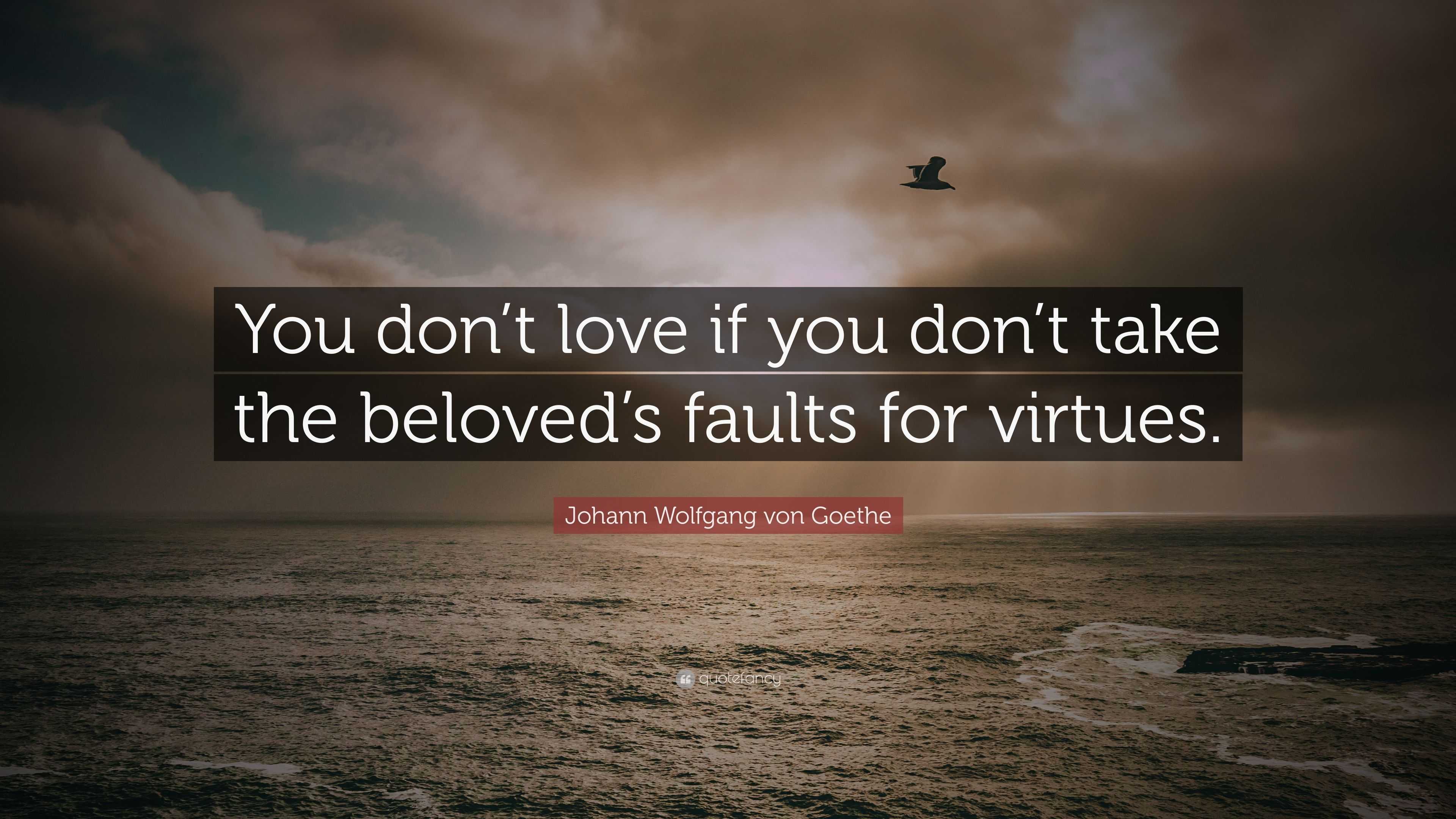 Johann Wolfgang von Goethe Quote: “You don’t love if you don’t take the ...