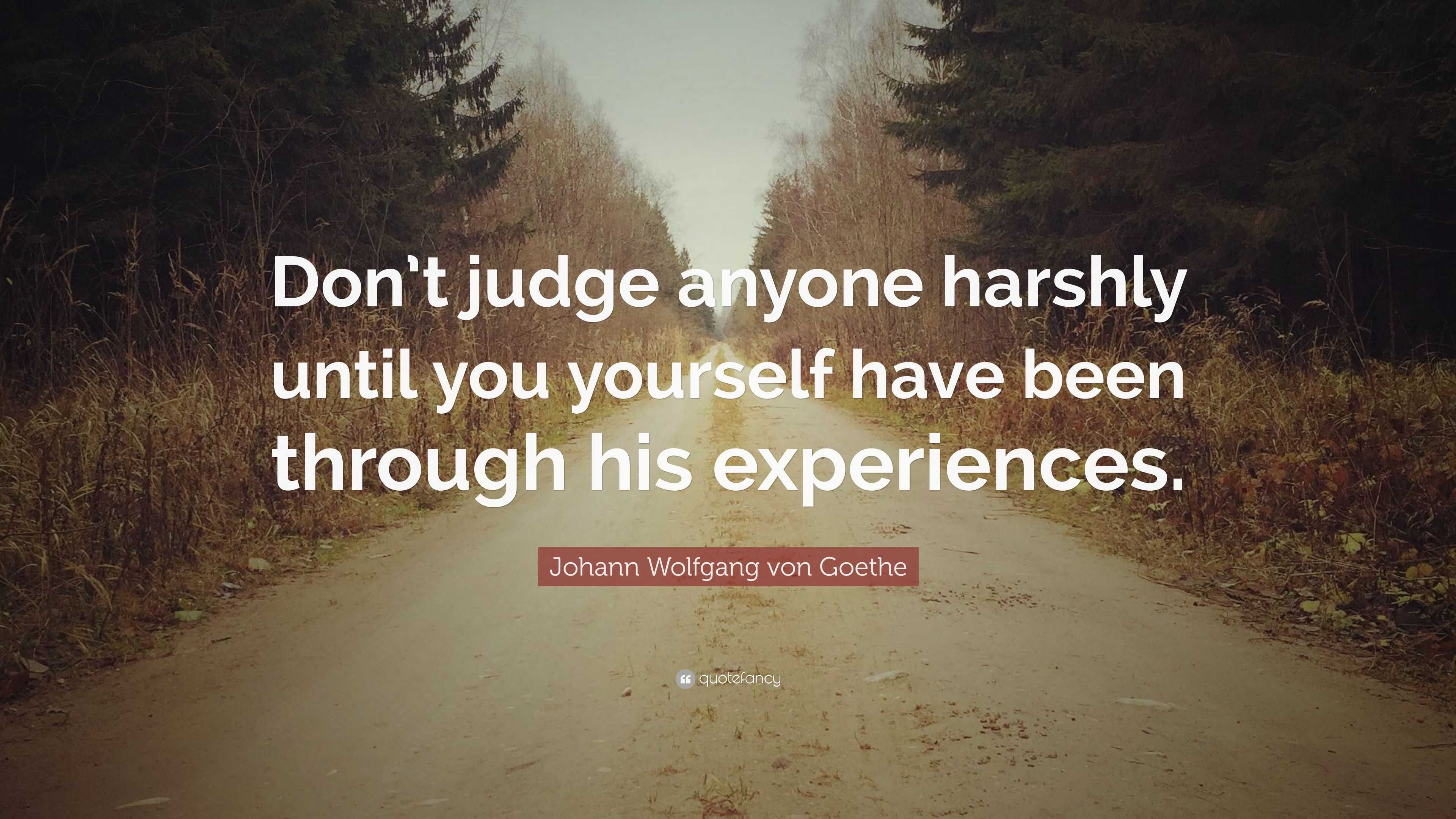 Johann Wolfgang von Goethe Quote: “Don’t judge anyone harshly until you ...