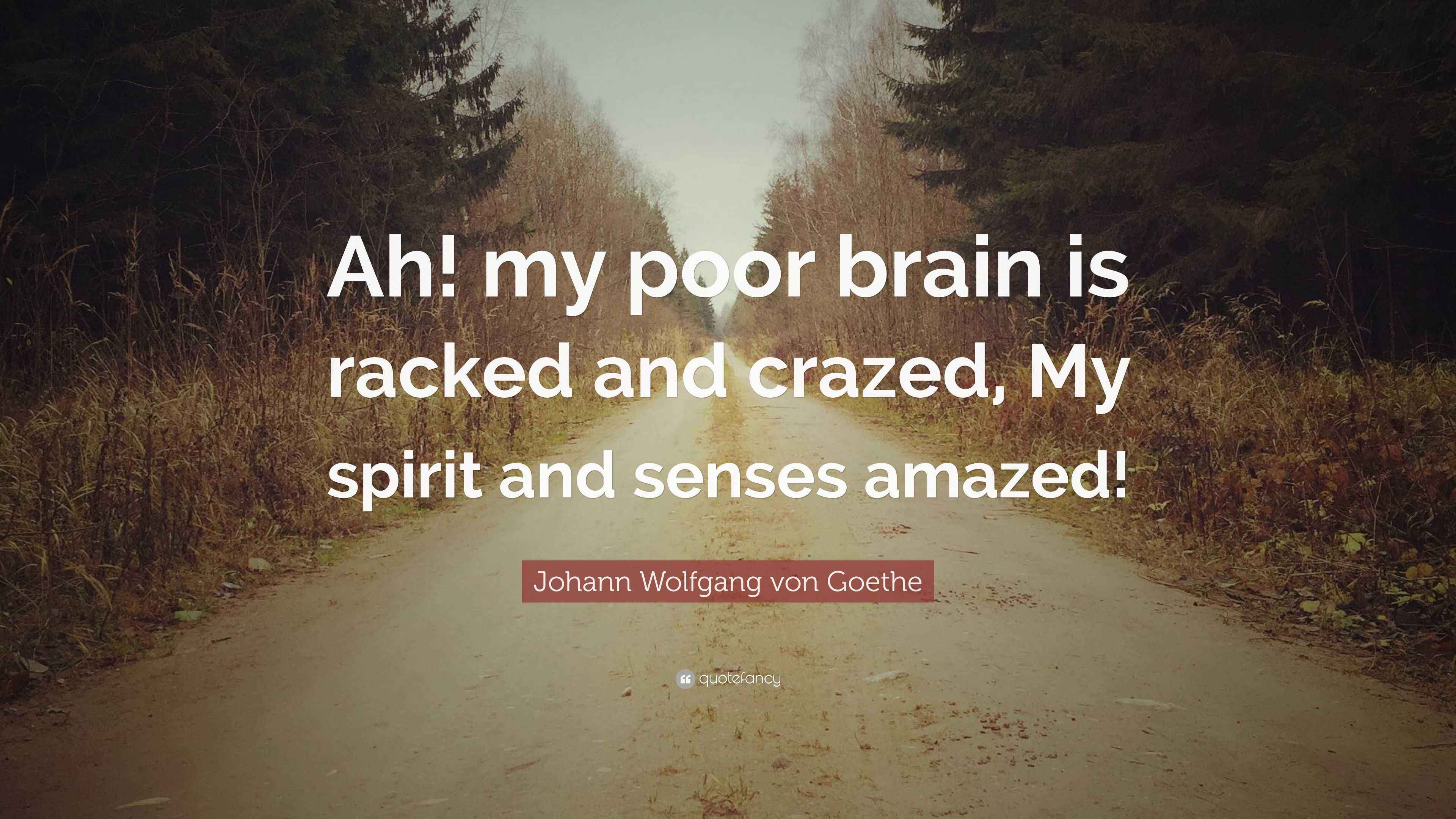 Johann Wolfgang von Goethe Quote “Ah! my poor brain is racked and crazed, My spirit and senses