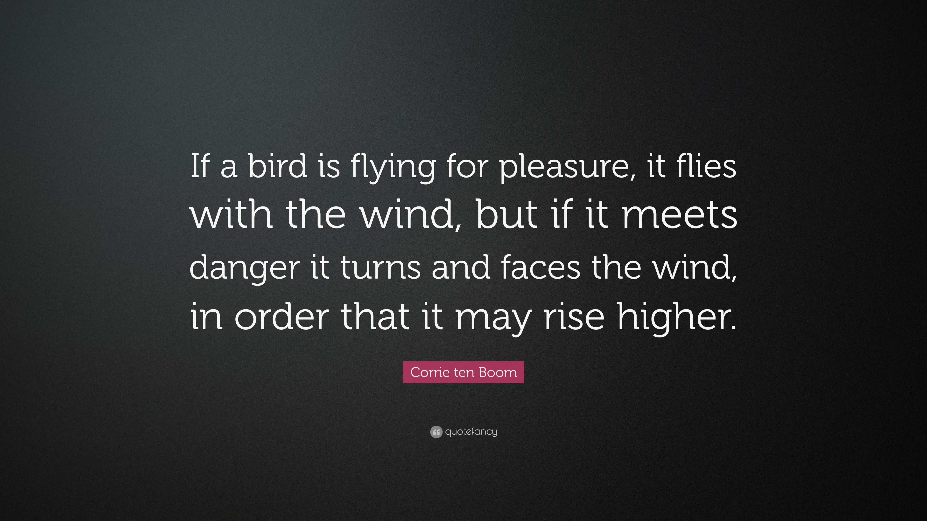 Corrie ten Boom Quote: “If a bird is flying for pleasure, it flies with ...