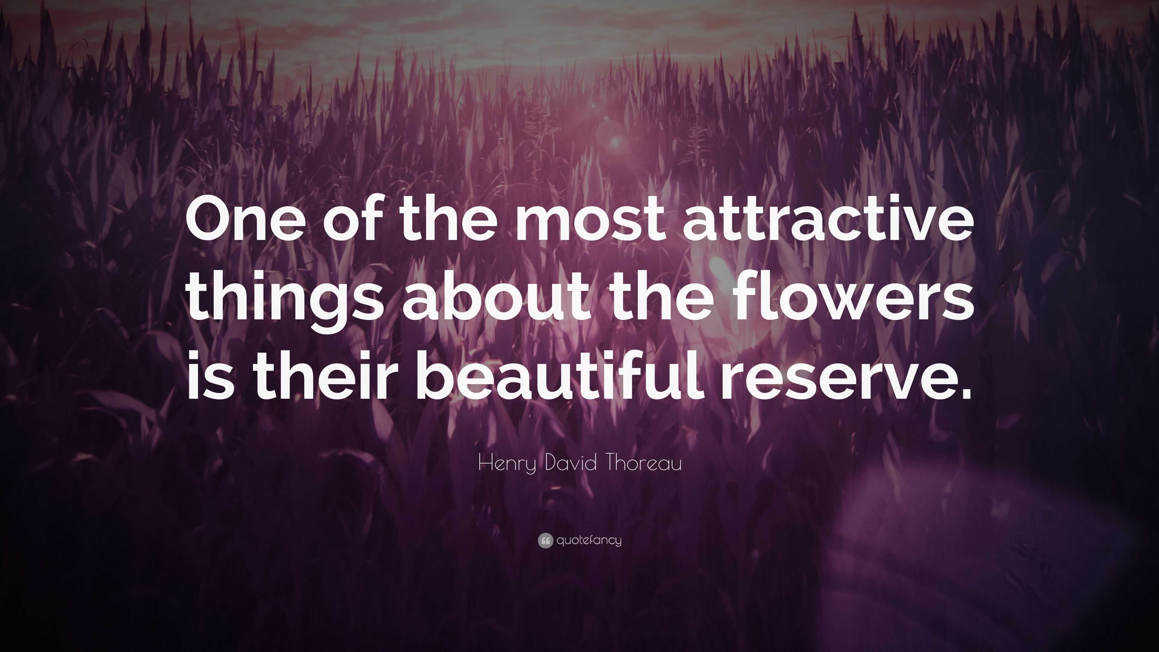 Henry David Thoreau Quote: “One of the most attractive things about the ...