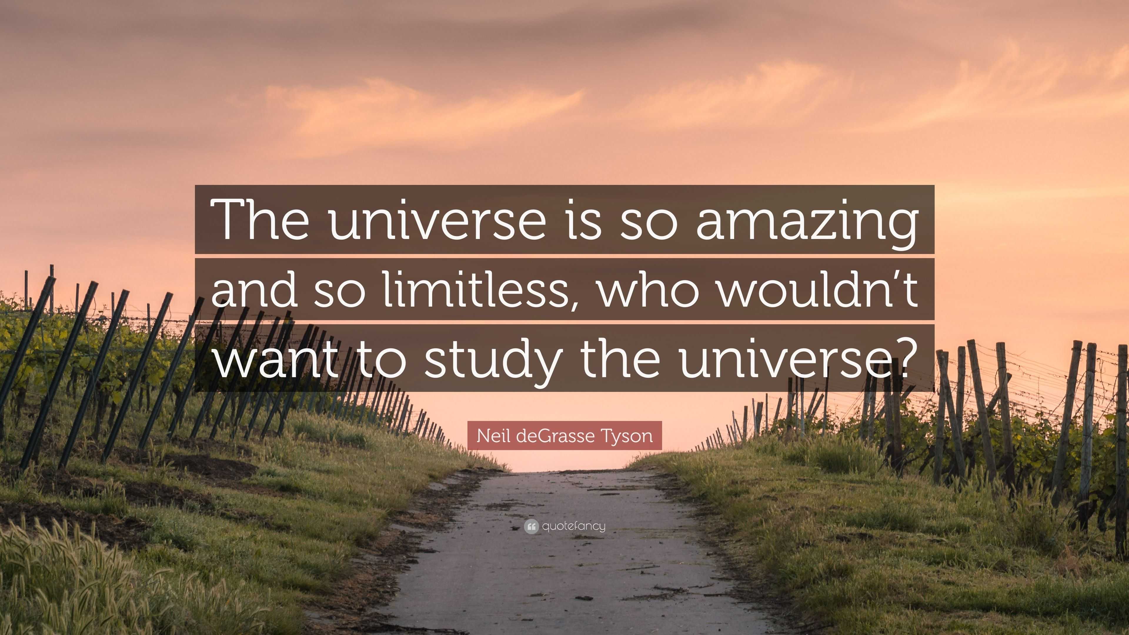 Neil deGrasse Tyson Quote: “The universe is so amazing and so limitless ...