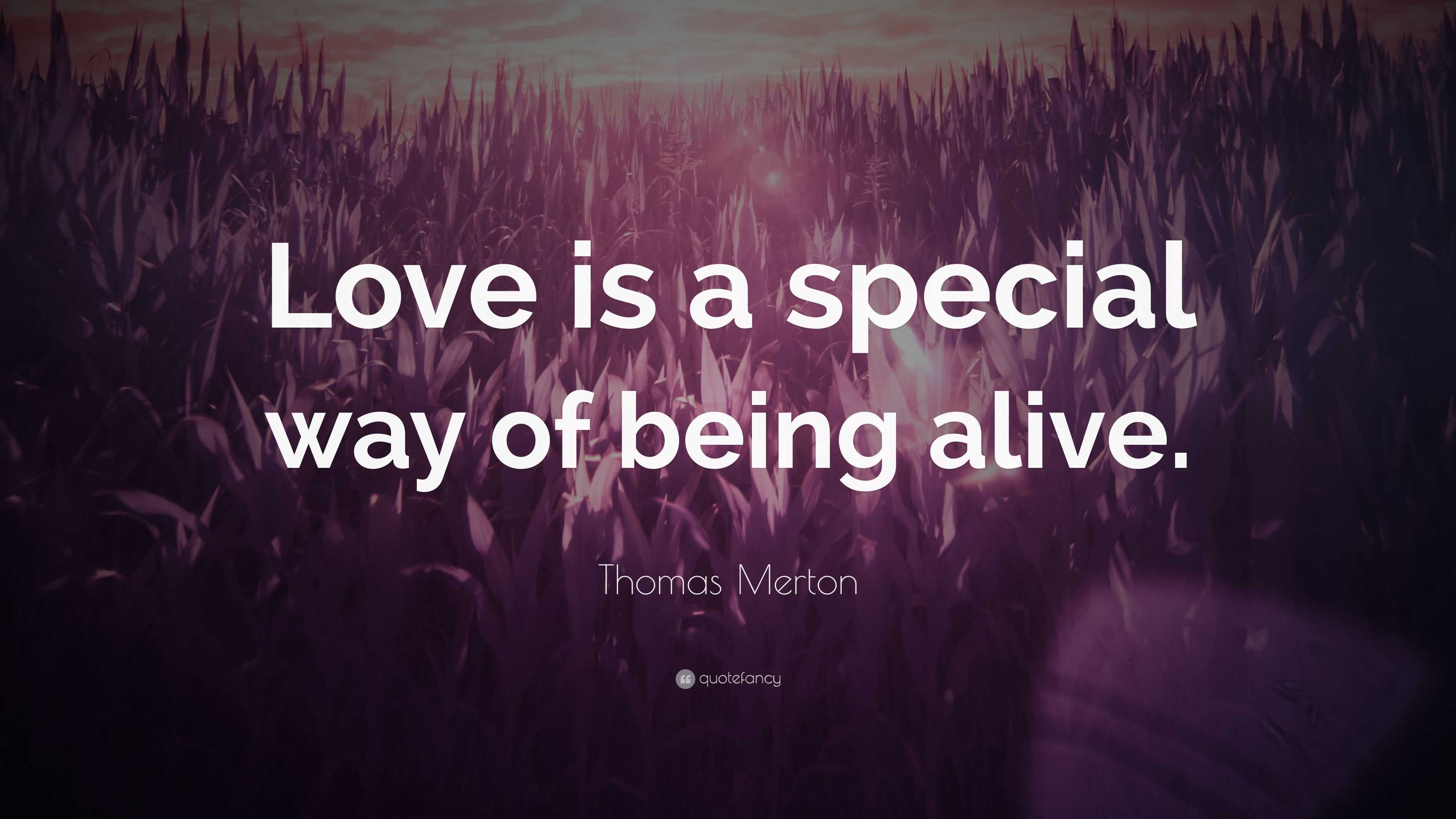 Thomas Merton Quote: “Love is a special way of being alive.”