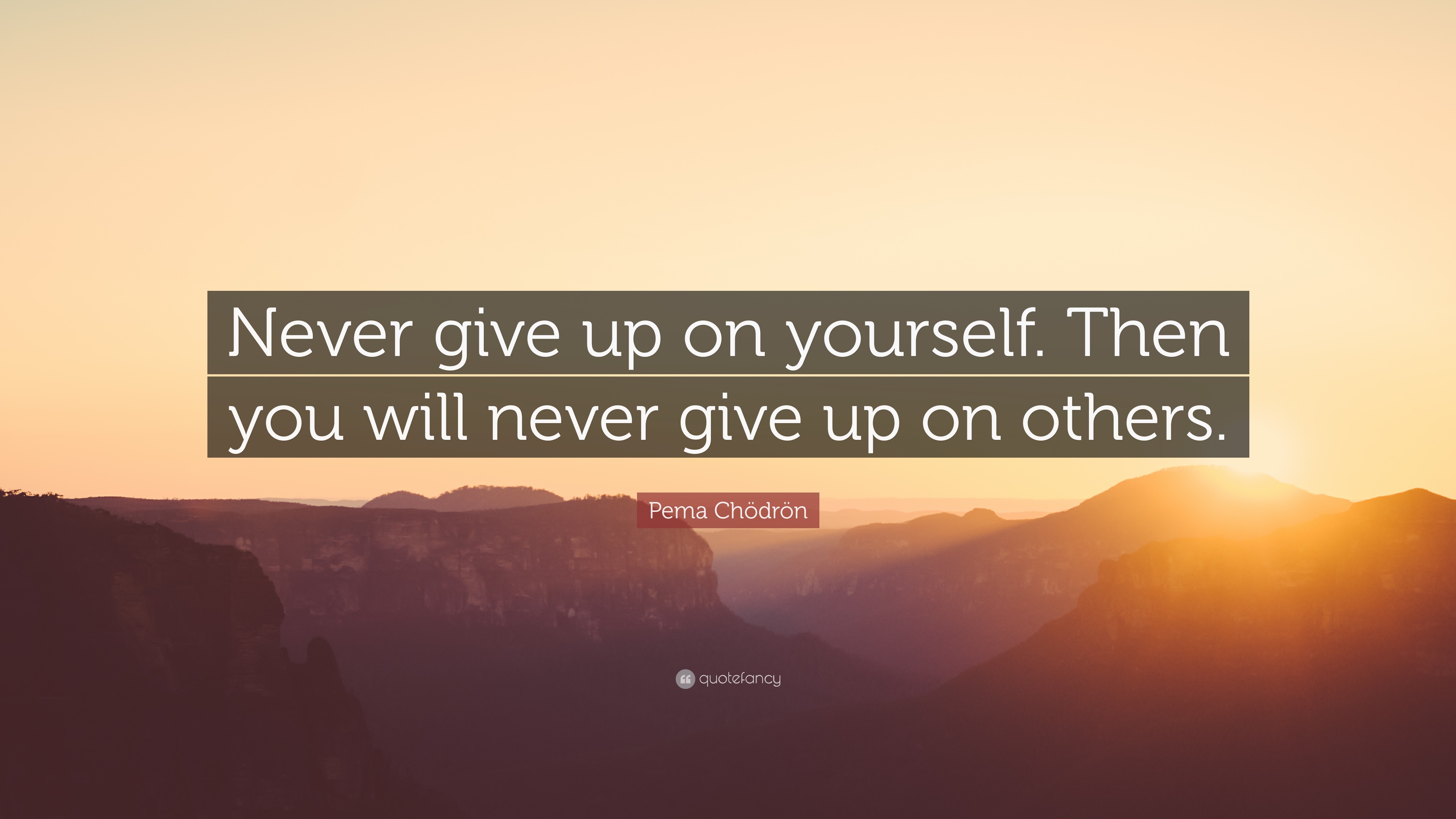 Pema Chödrön Quote: “Never give up on yourself. Then you will never ...