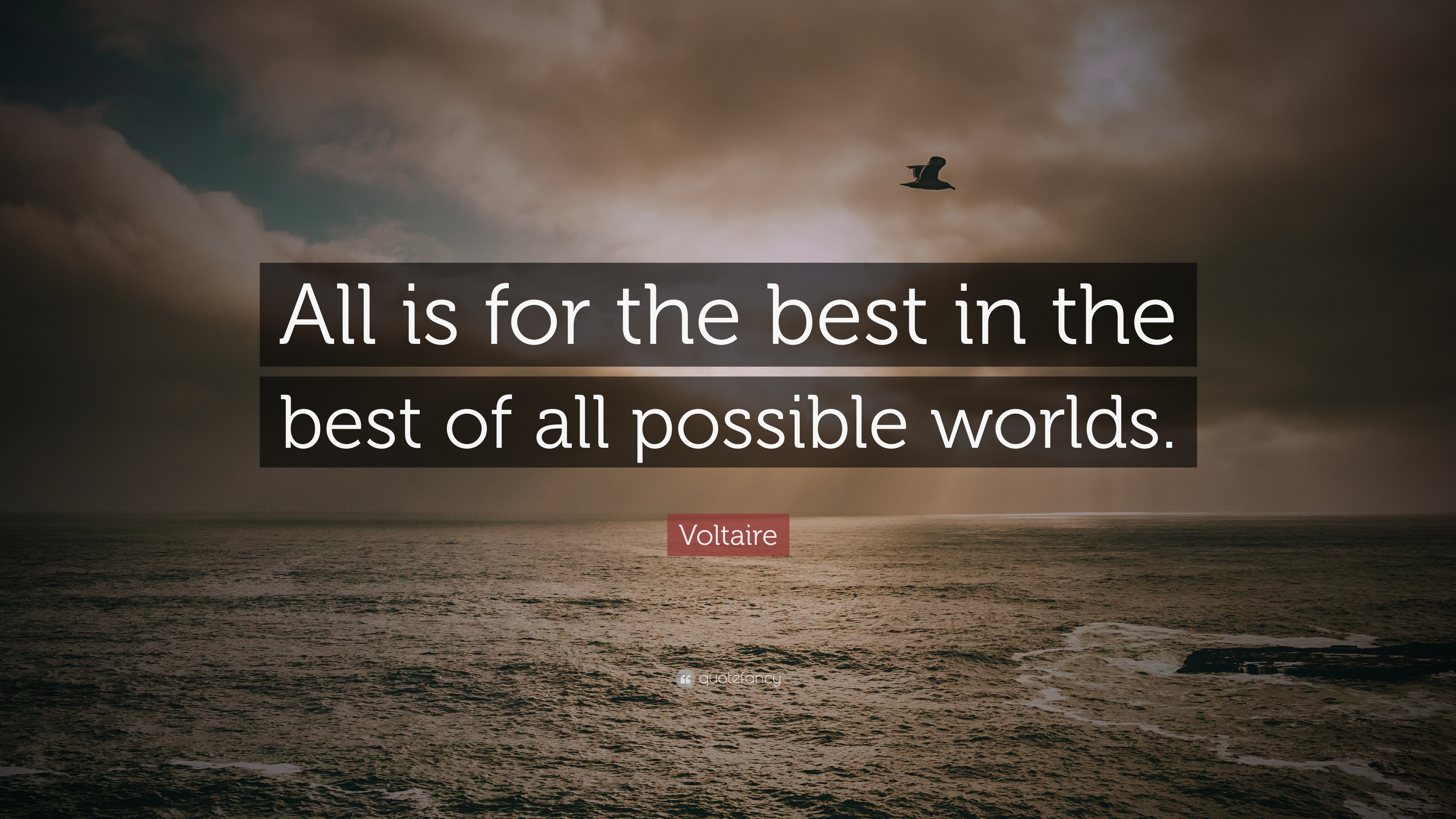 Voltaire Quote “All is for the best in the best