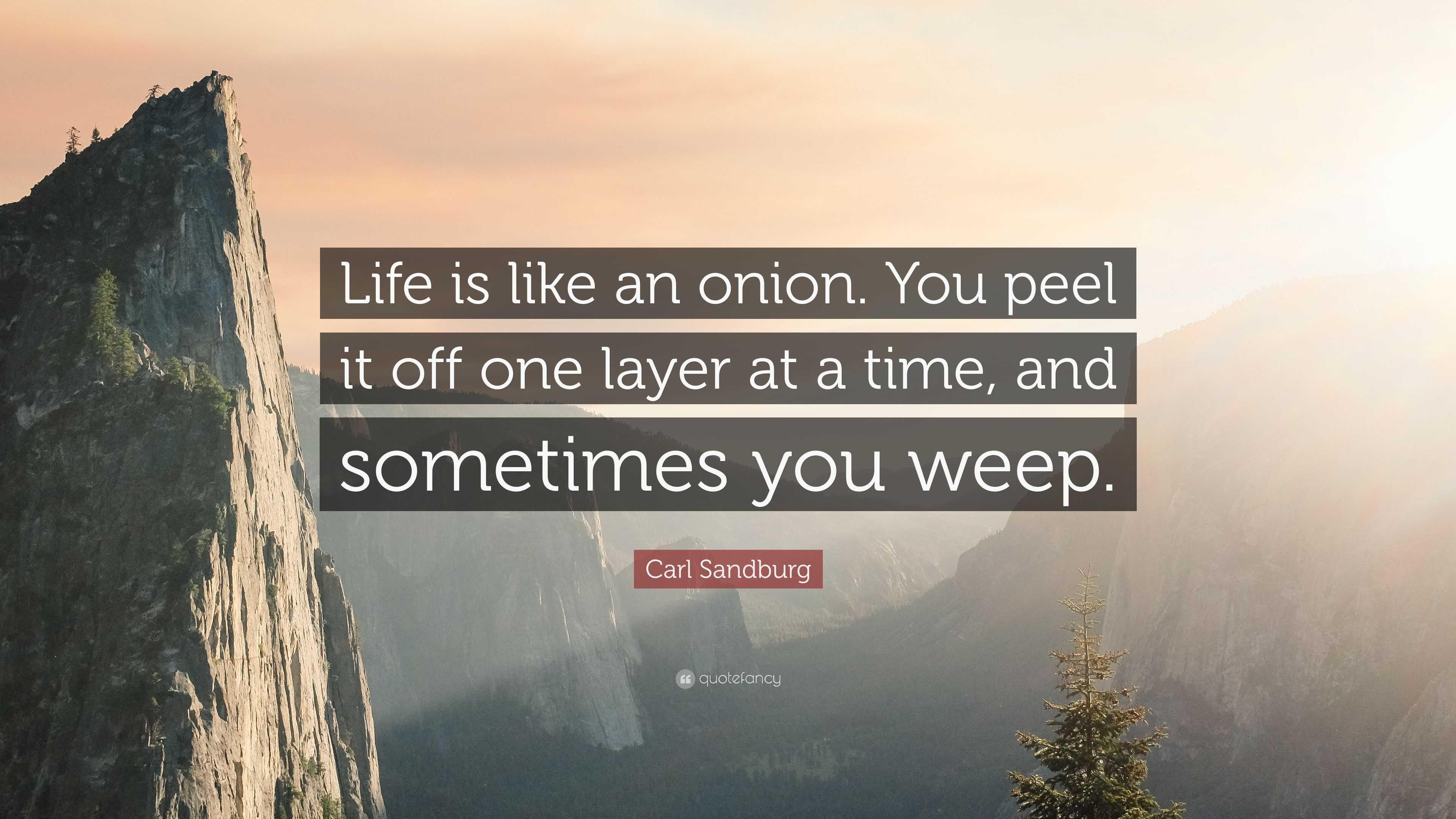 Carl Sandburg Quote “Life is like an onion You peel it off one