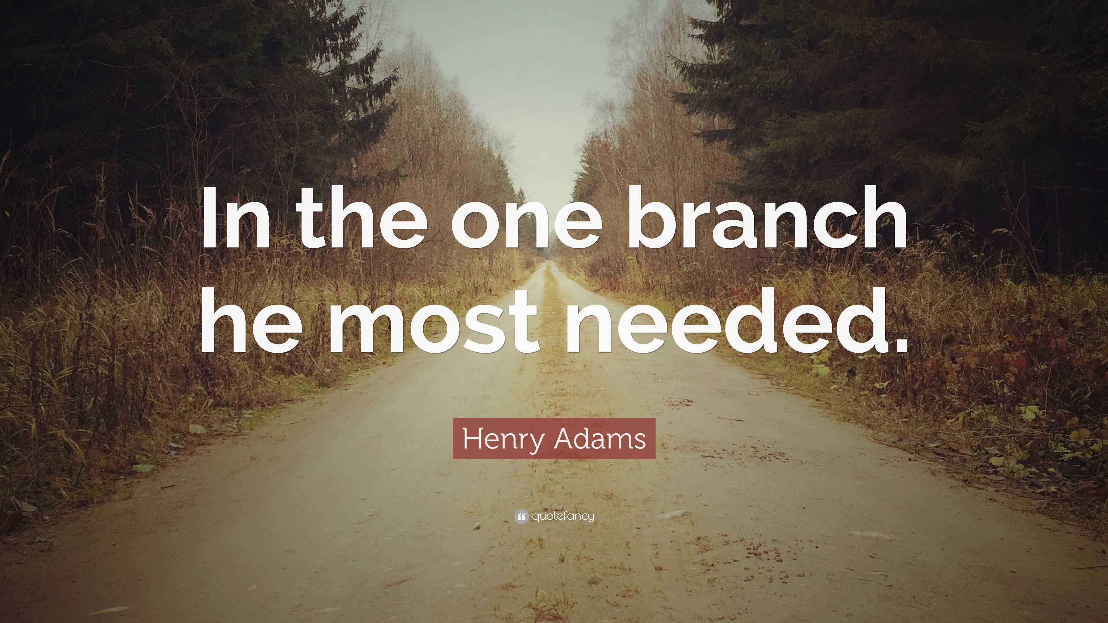 Henry Adams Quote “In the one branch he most needed.”
