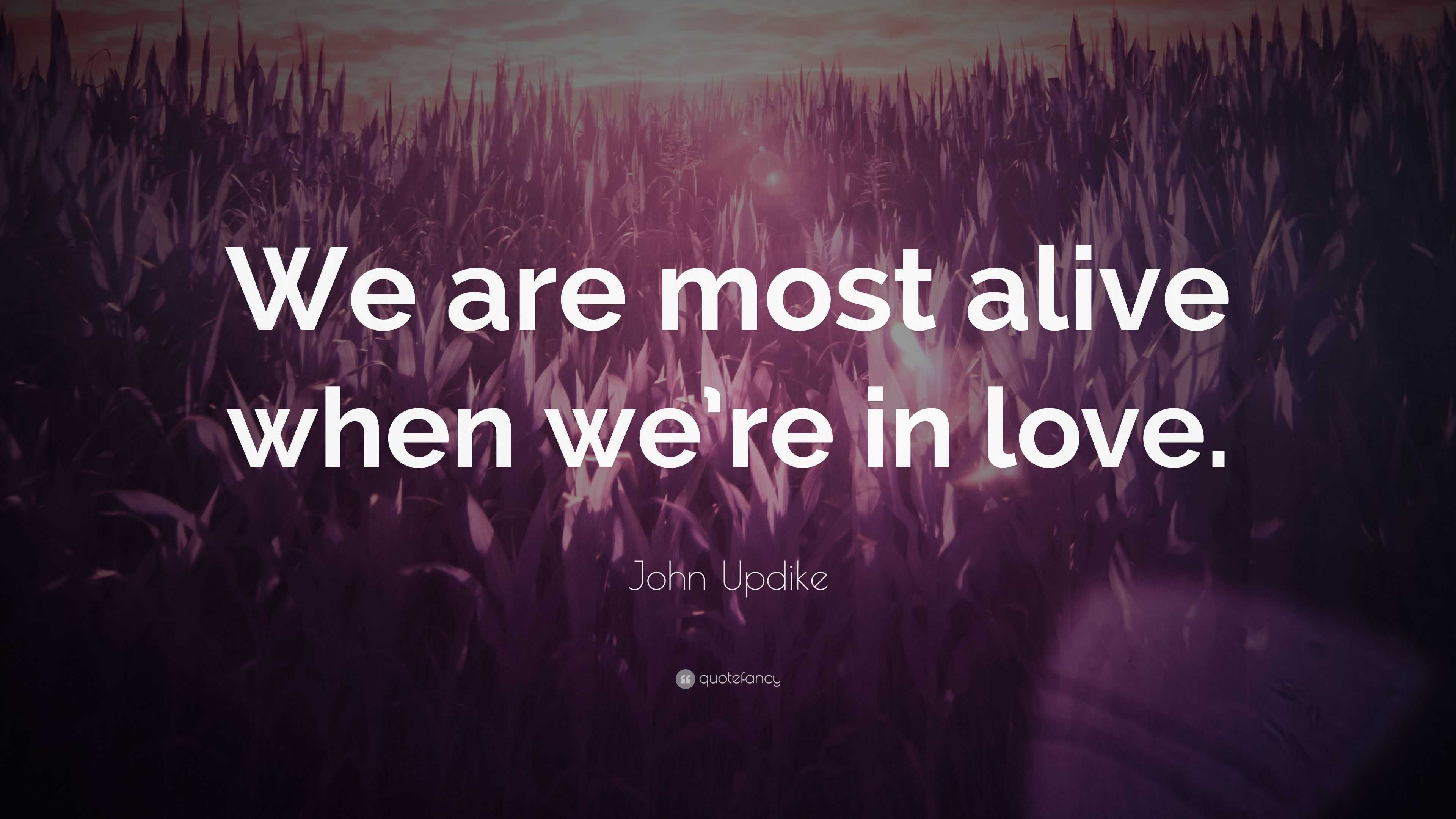 John Updike Quote We Are Most Alive When We Re In Love