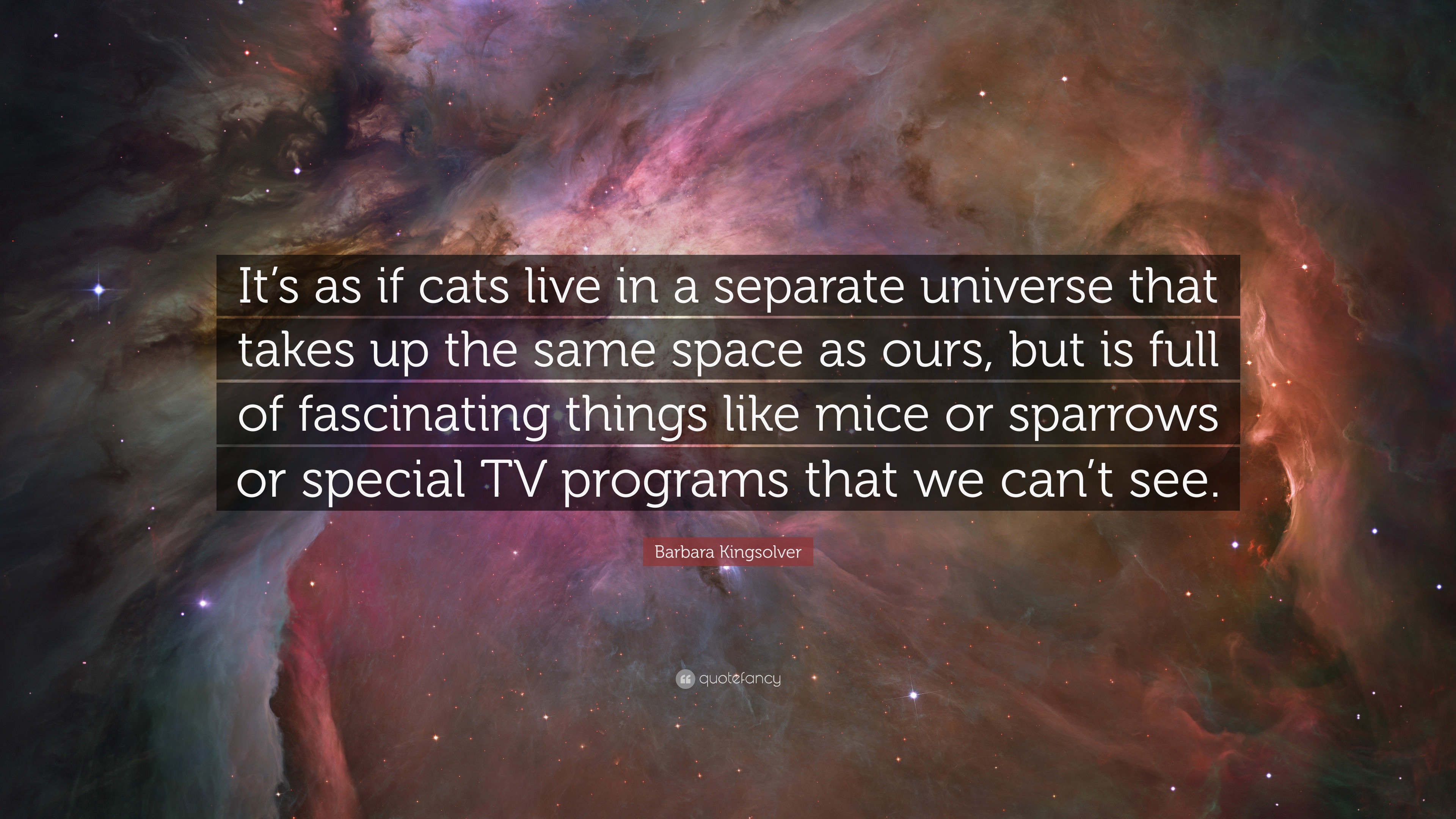 Barbara Kingsolver Quote “its As If Cats Live In A Separate Universe That Takes Up The Same 1888