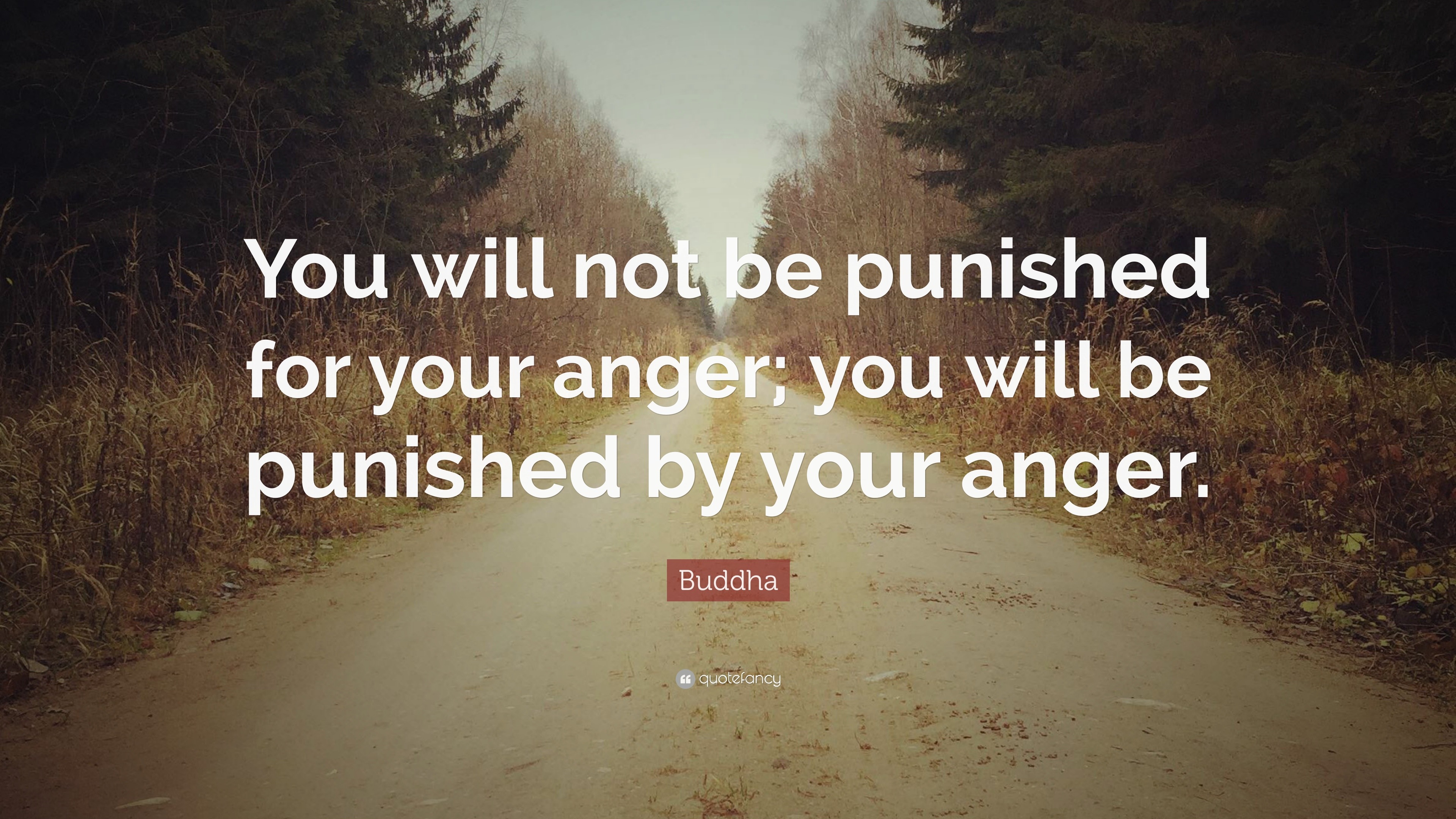 Buddha Quotes (100 wallpapers) - Quotefancy