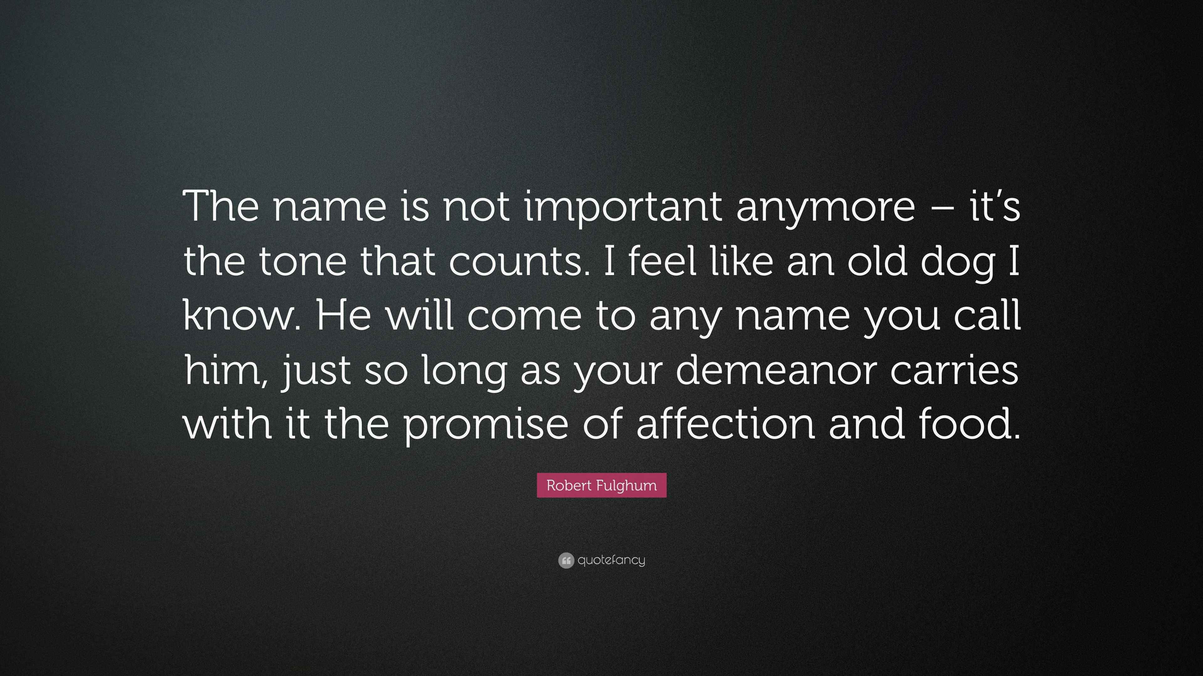 Not Important Anymore Quotes Elena Anaya Quote: “I'm Not 20 Anymore,