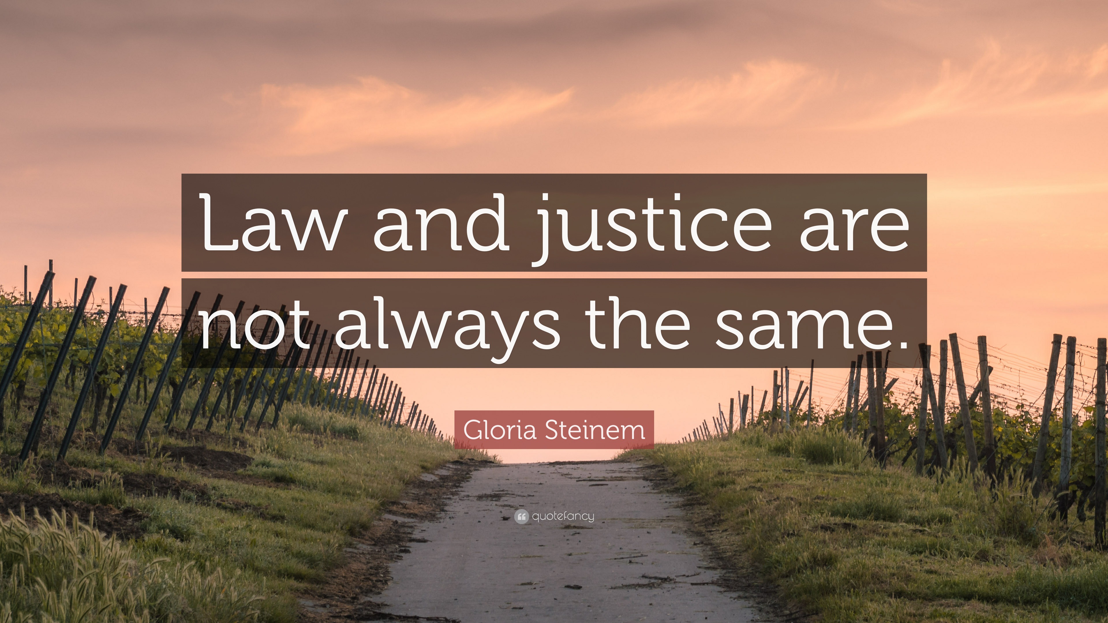 Gloria Steinem Quote: “Law and justice are not always the same.”