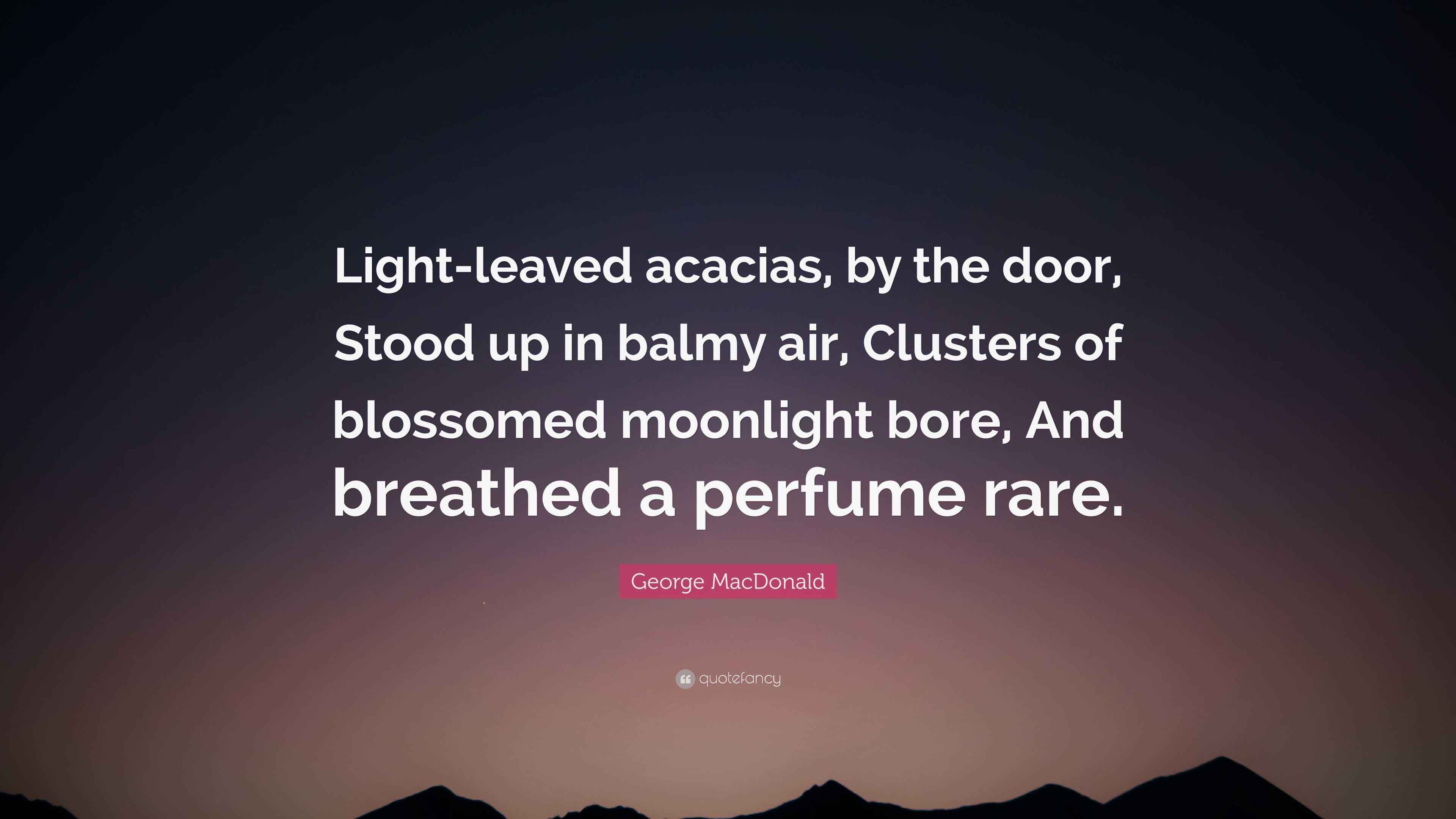 George Macdonald Quote Light Leaved Acacias By The Door Stood Up In Balmy Air Clusters Of Blossomed Moonlight Bore And Breathed A Perfume R 6 Wallpapers Quotefancy