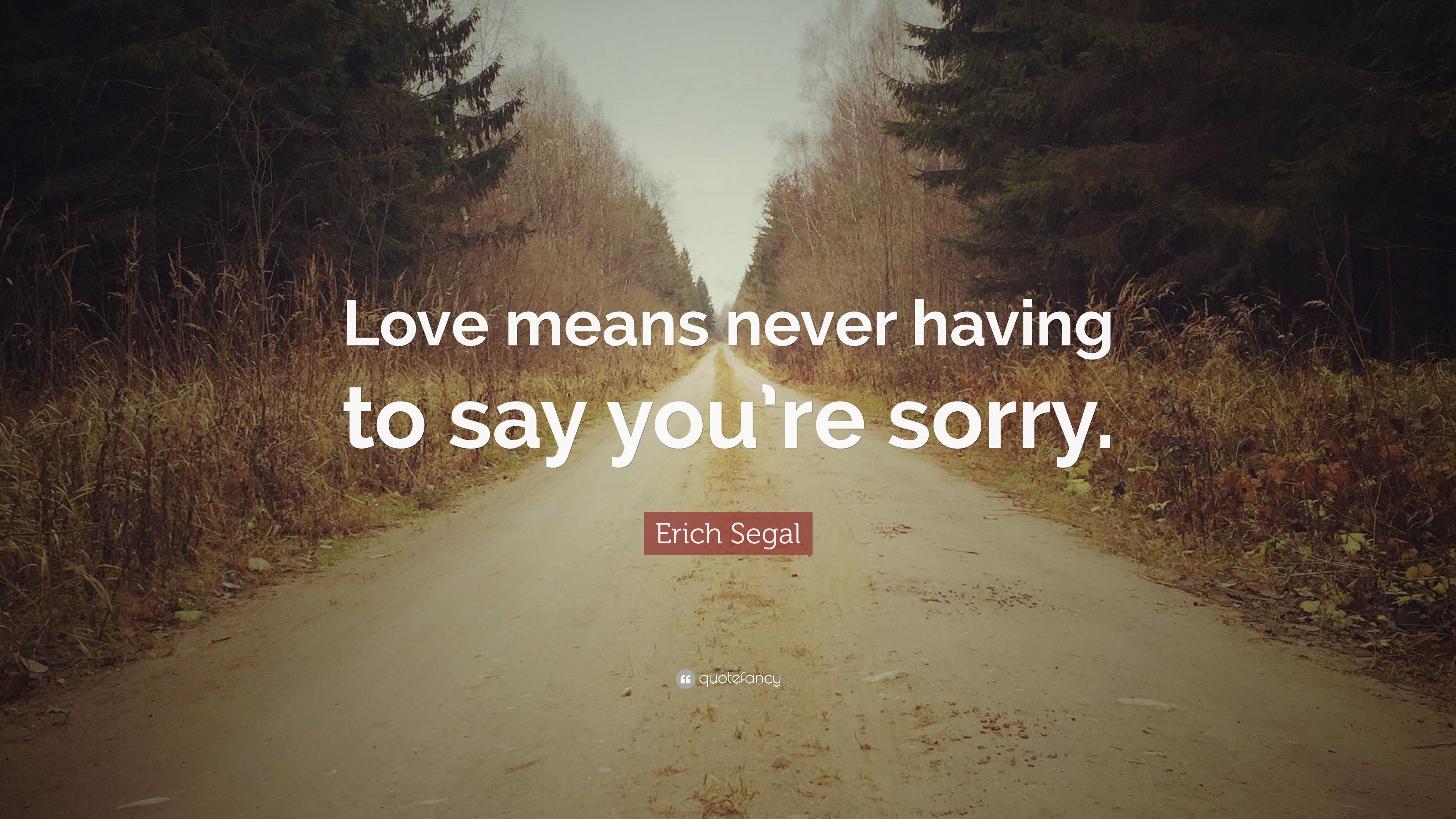 Erich Segal Quote “Love means never having to say you re sorry