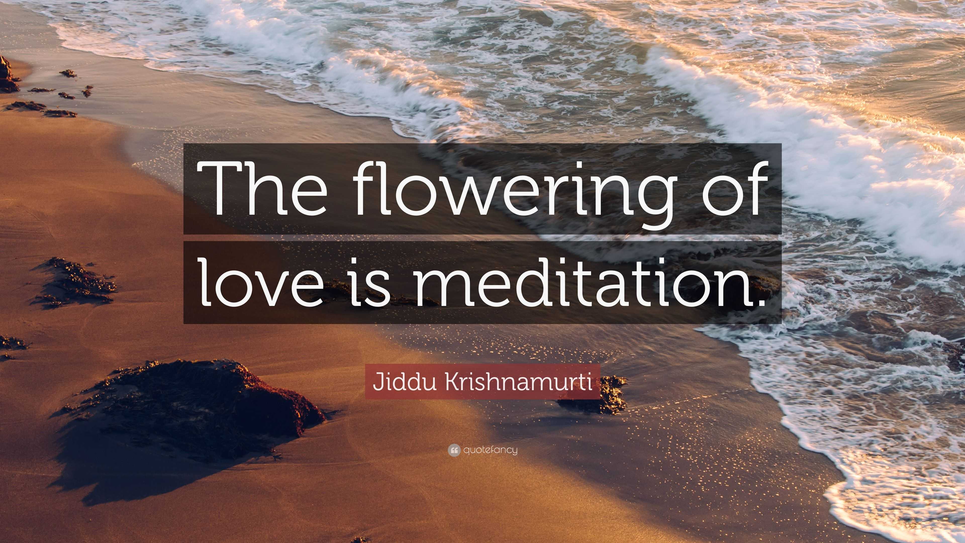 Jiddu Krishnamurti Quote: “The flowering of love is meditation.”