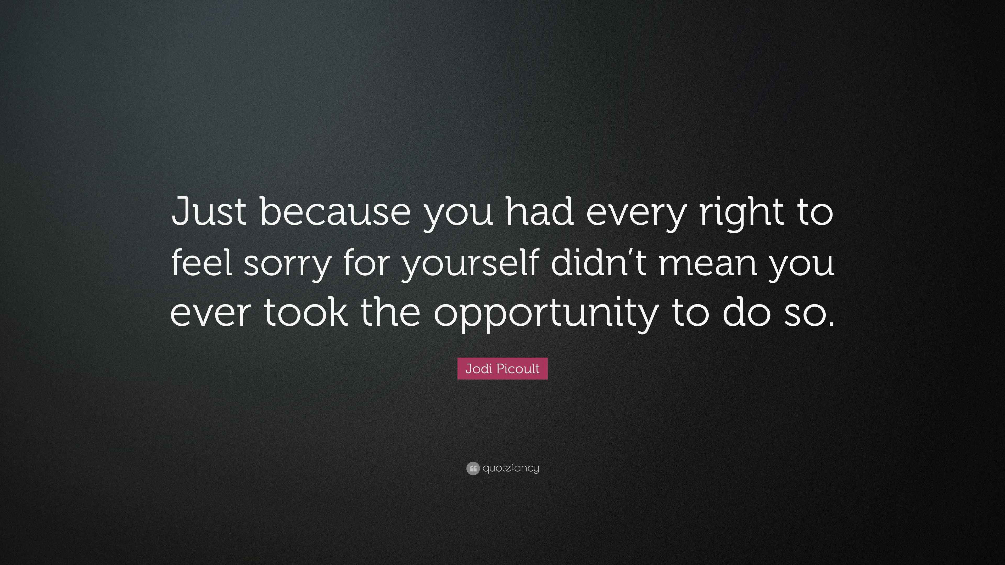 Jodi Picoult Quote: “Just because you had every right to feel sorry for ...