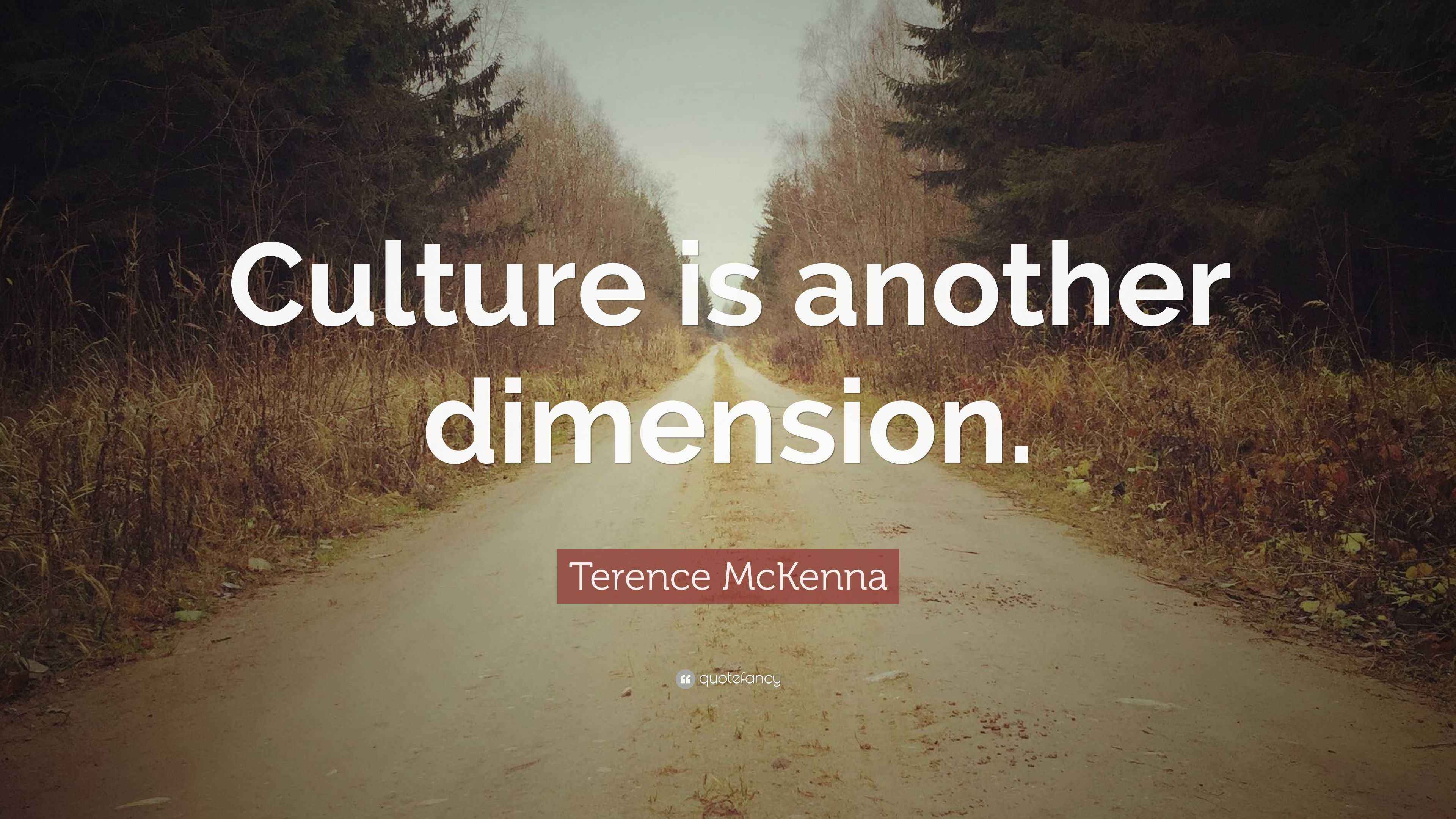 Terence McKenna Quote “Culture is another dimension.”