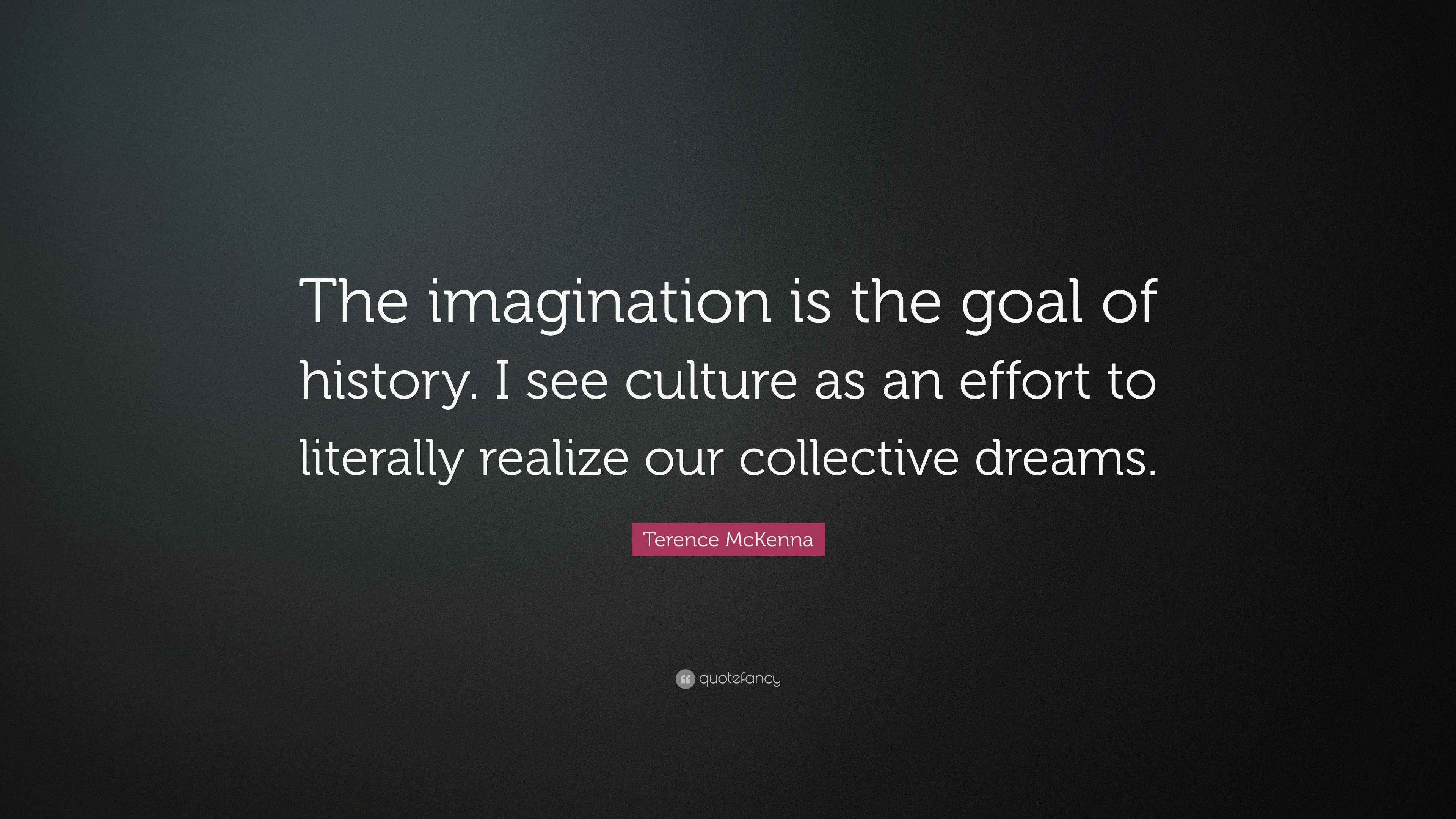 Terence McKenna Quote “The imagination is the goal of history. I see