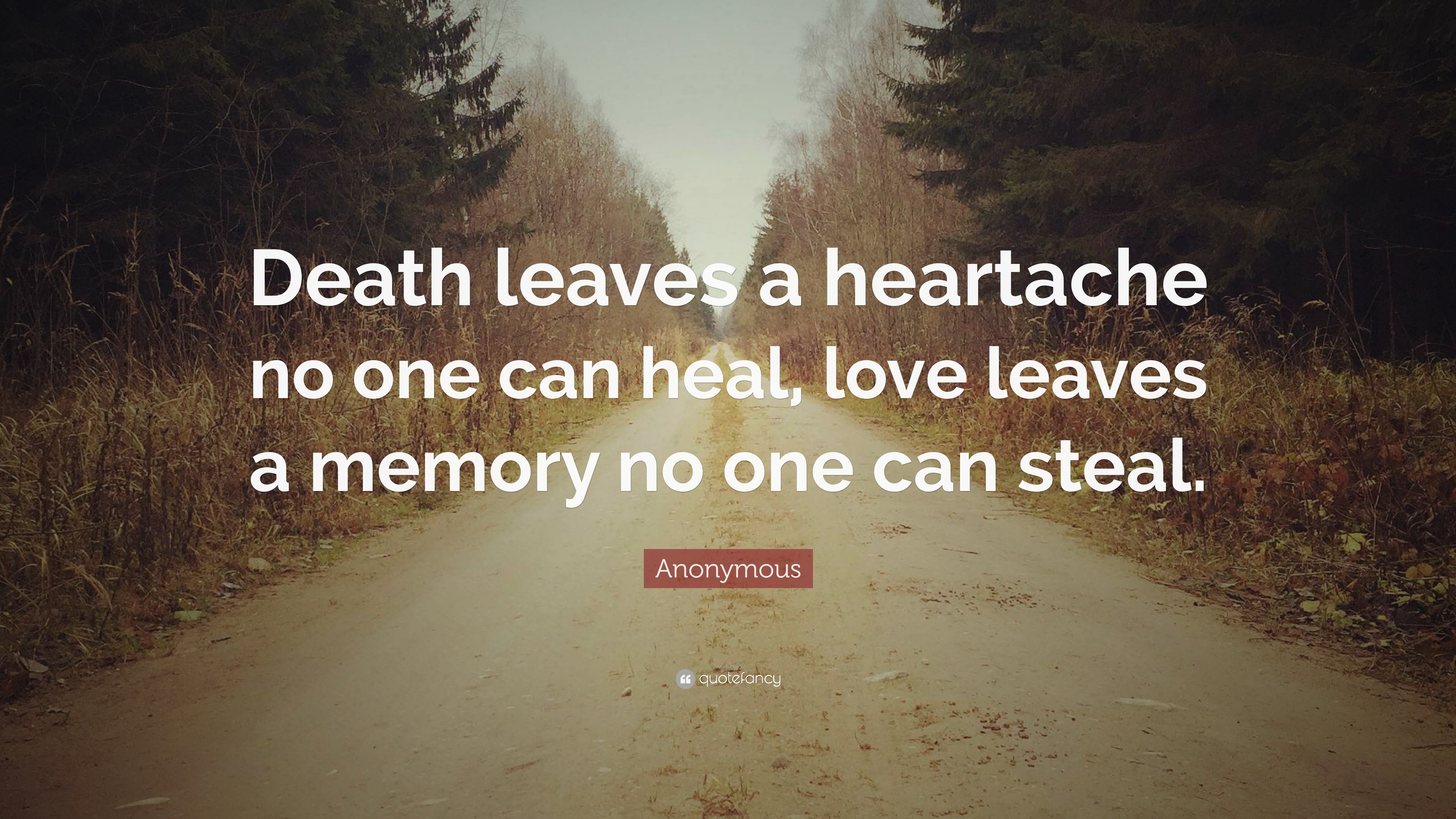 Anonymous Quote “Death leaves a heartache no one can heal love leaves a