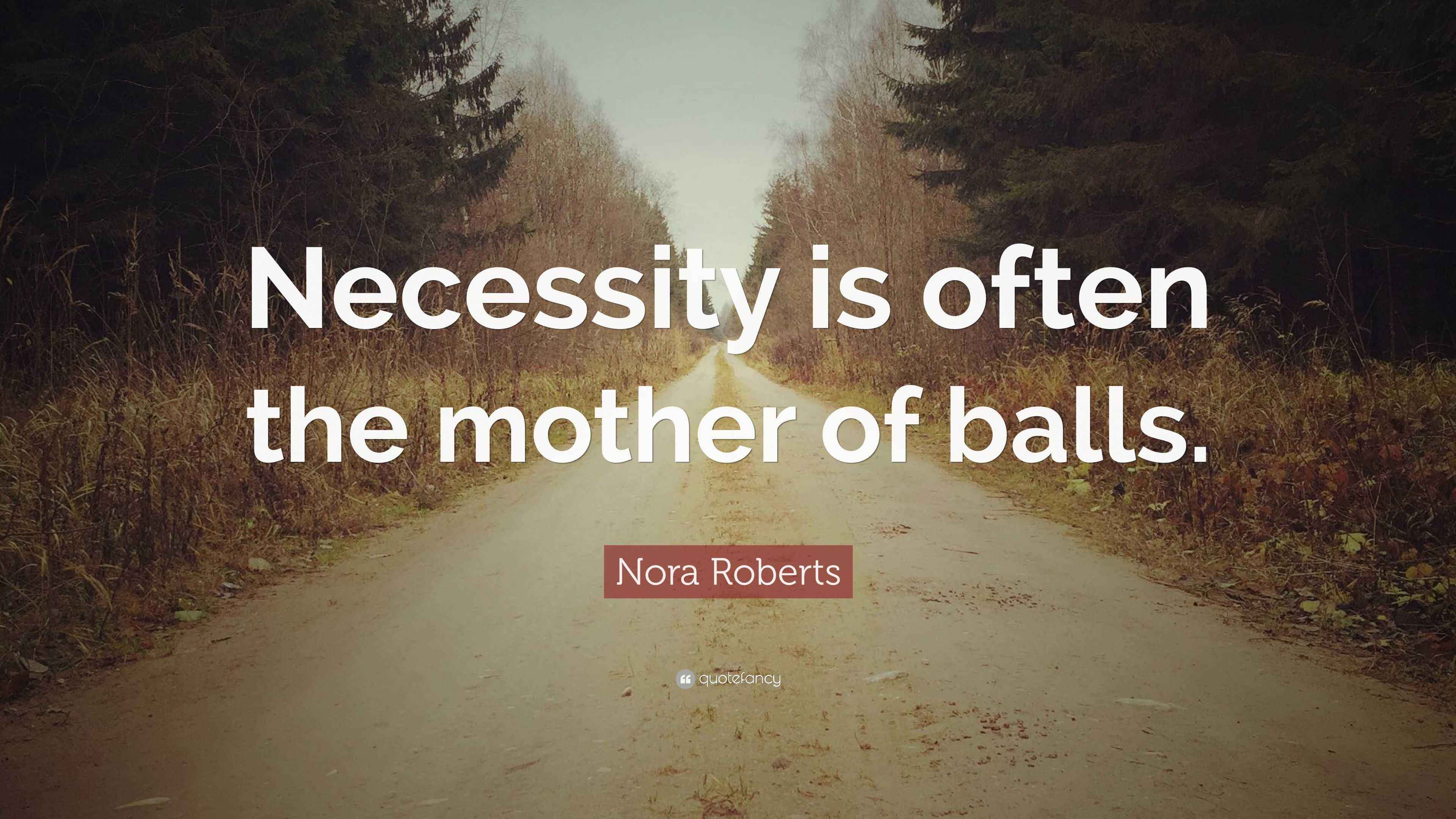 Nora Roberts Quote “Necessity is often the mother of balls.”