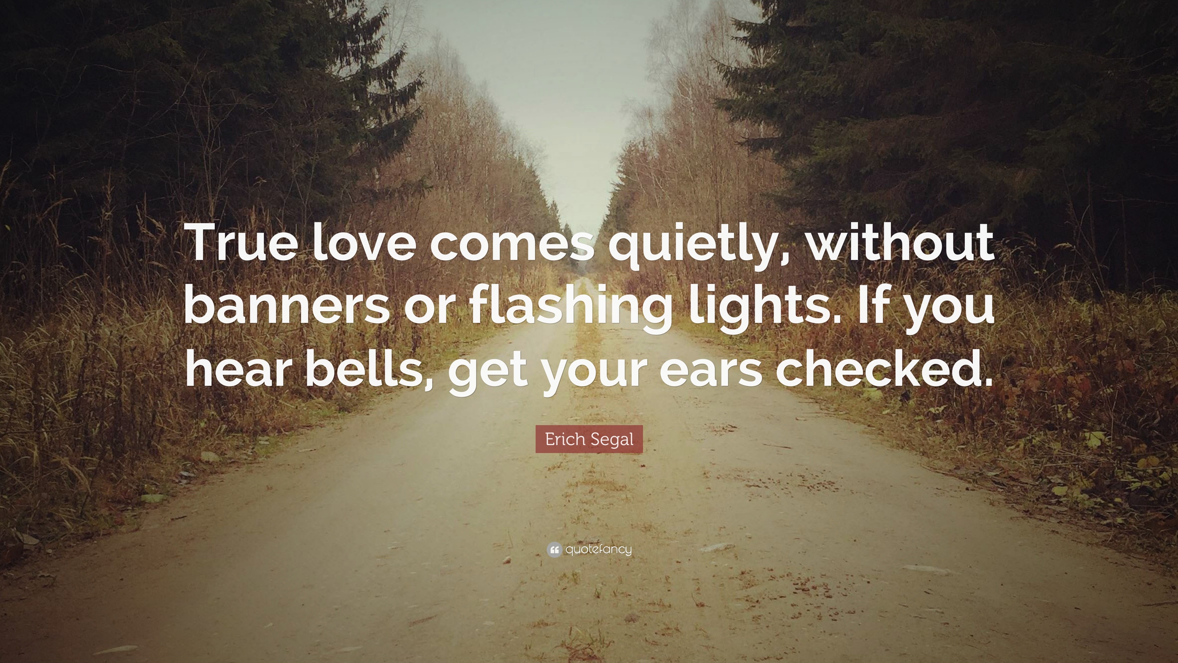 Erich Segal Quote “True love es quietly without banners or flashing lights