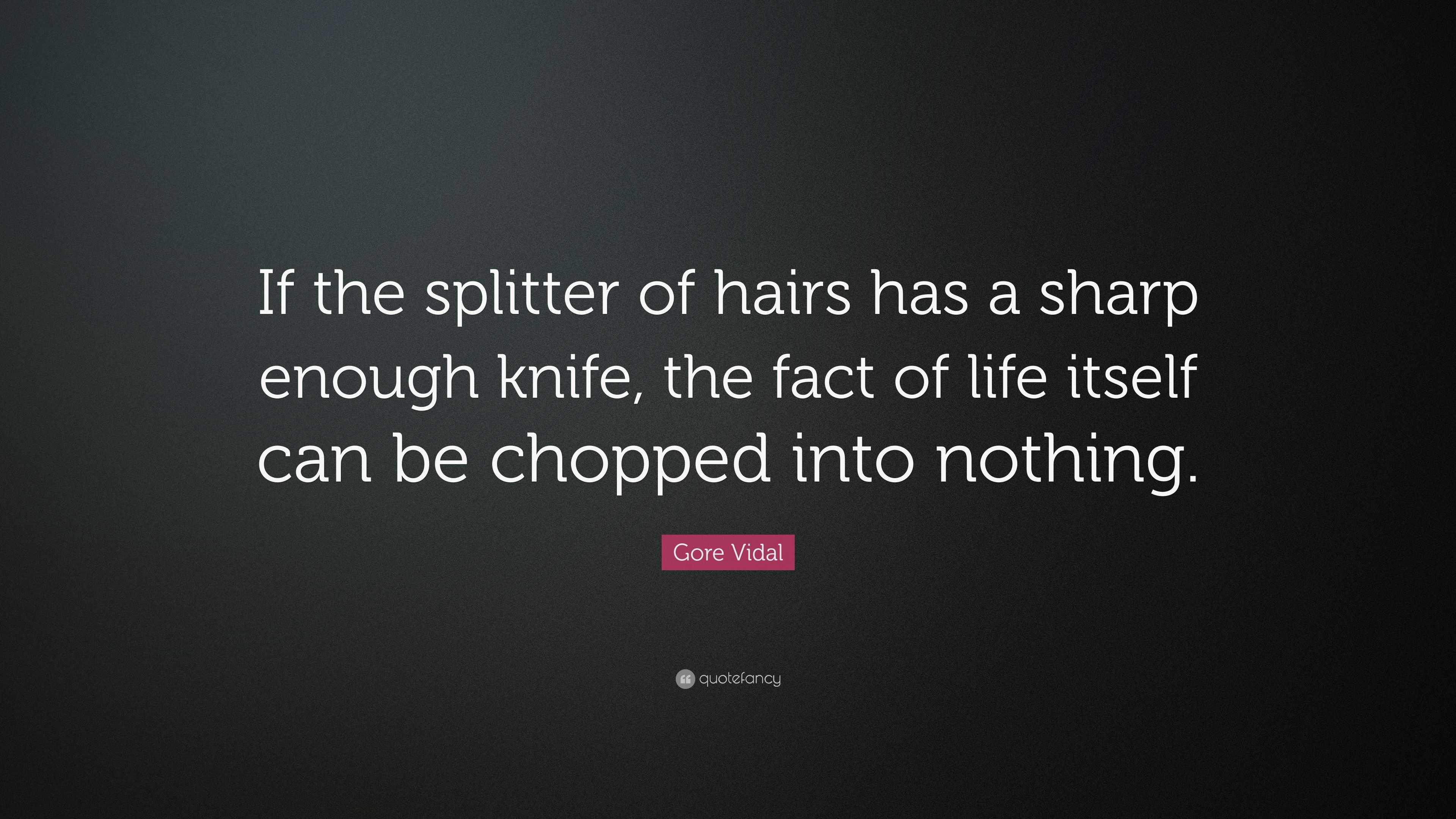 Gore Vidal Quote “If the splitter of hairs has a sharp enough knife