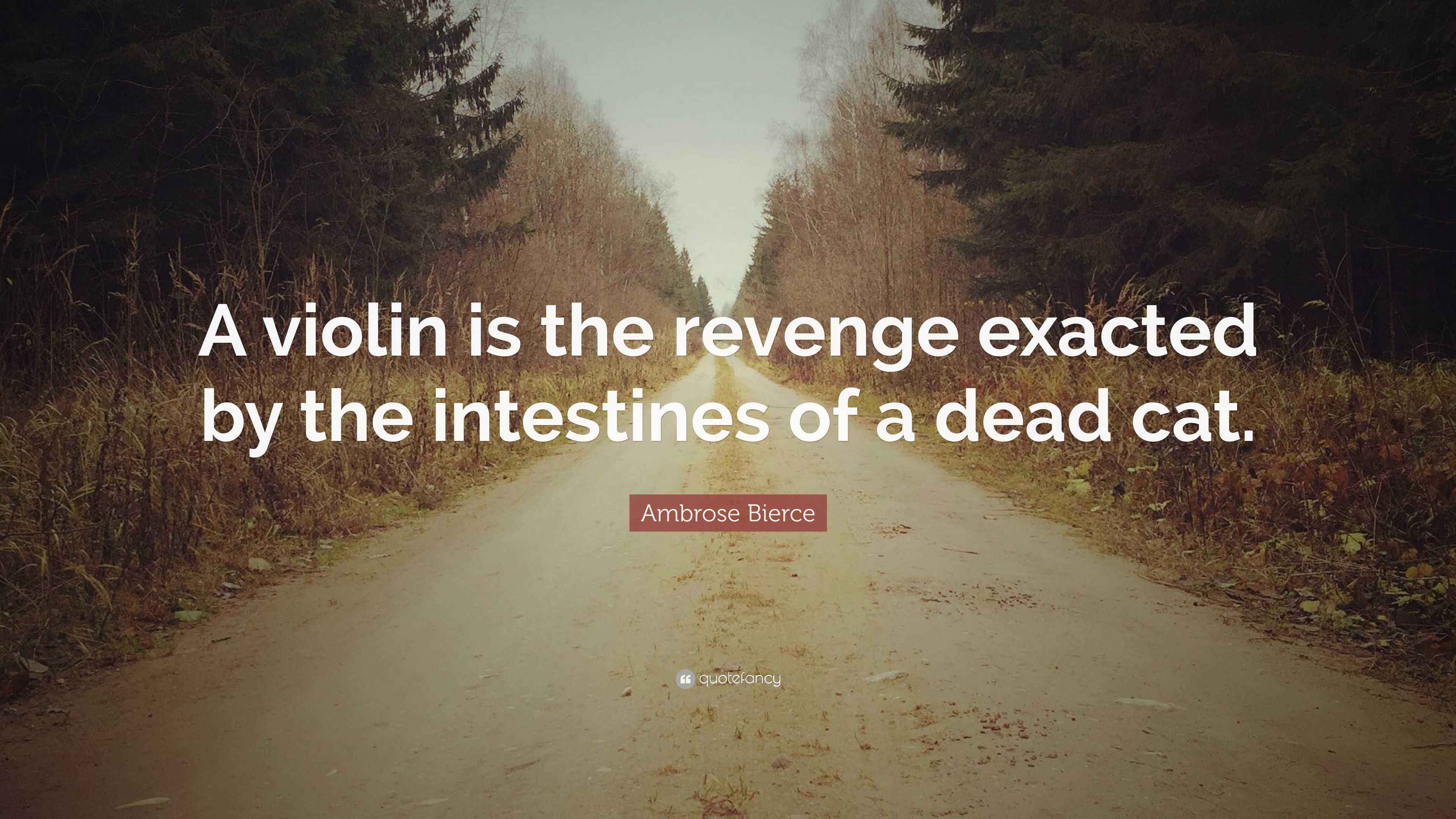Ambrose Bierce Quote “A violin is the revenge exacted by the