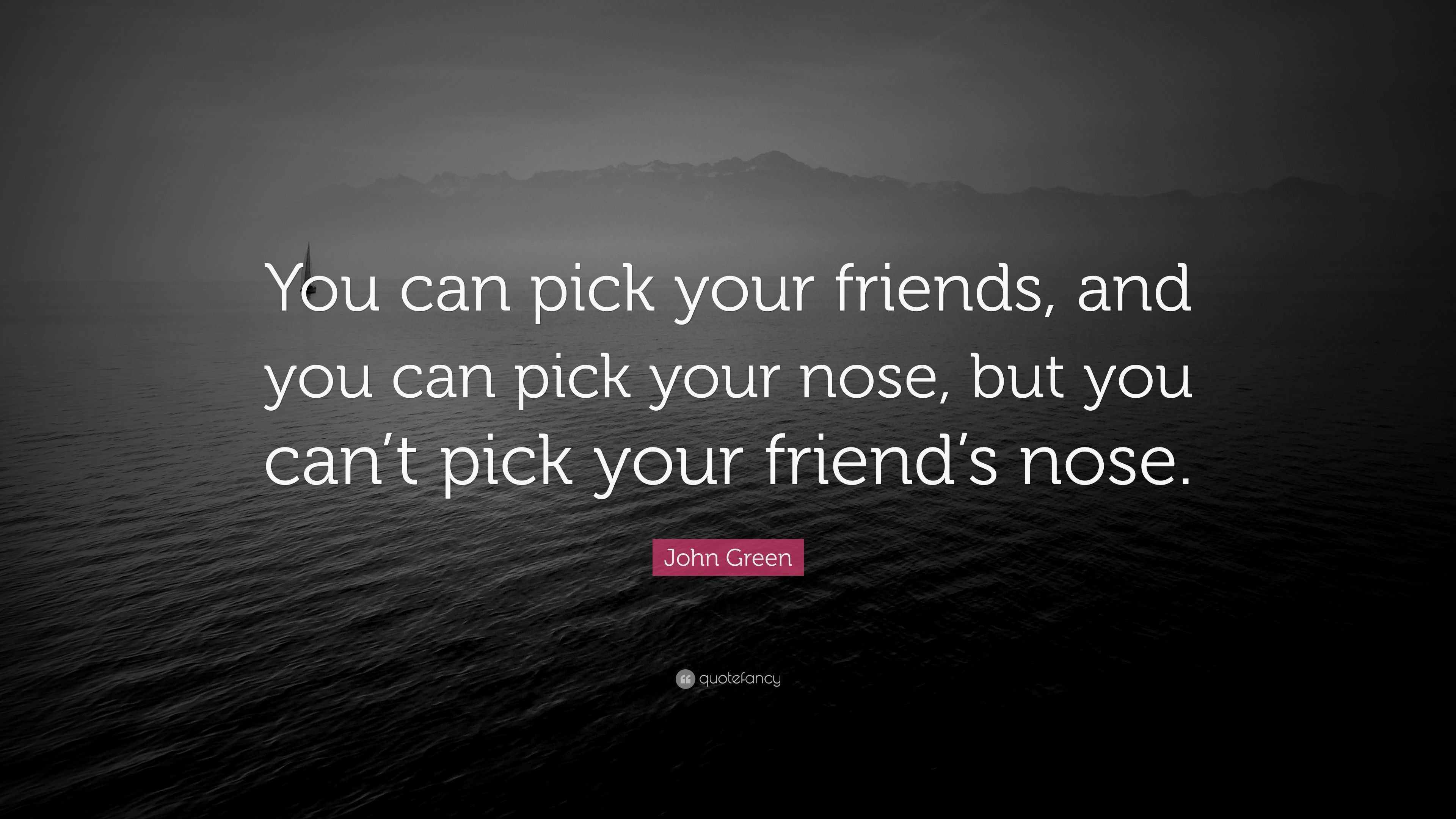 John Green Quote: “You can pick your friends, and you can pick your