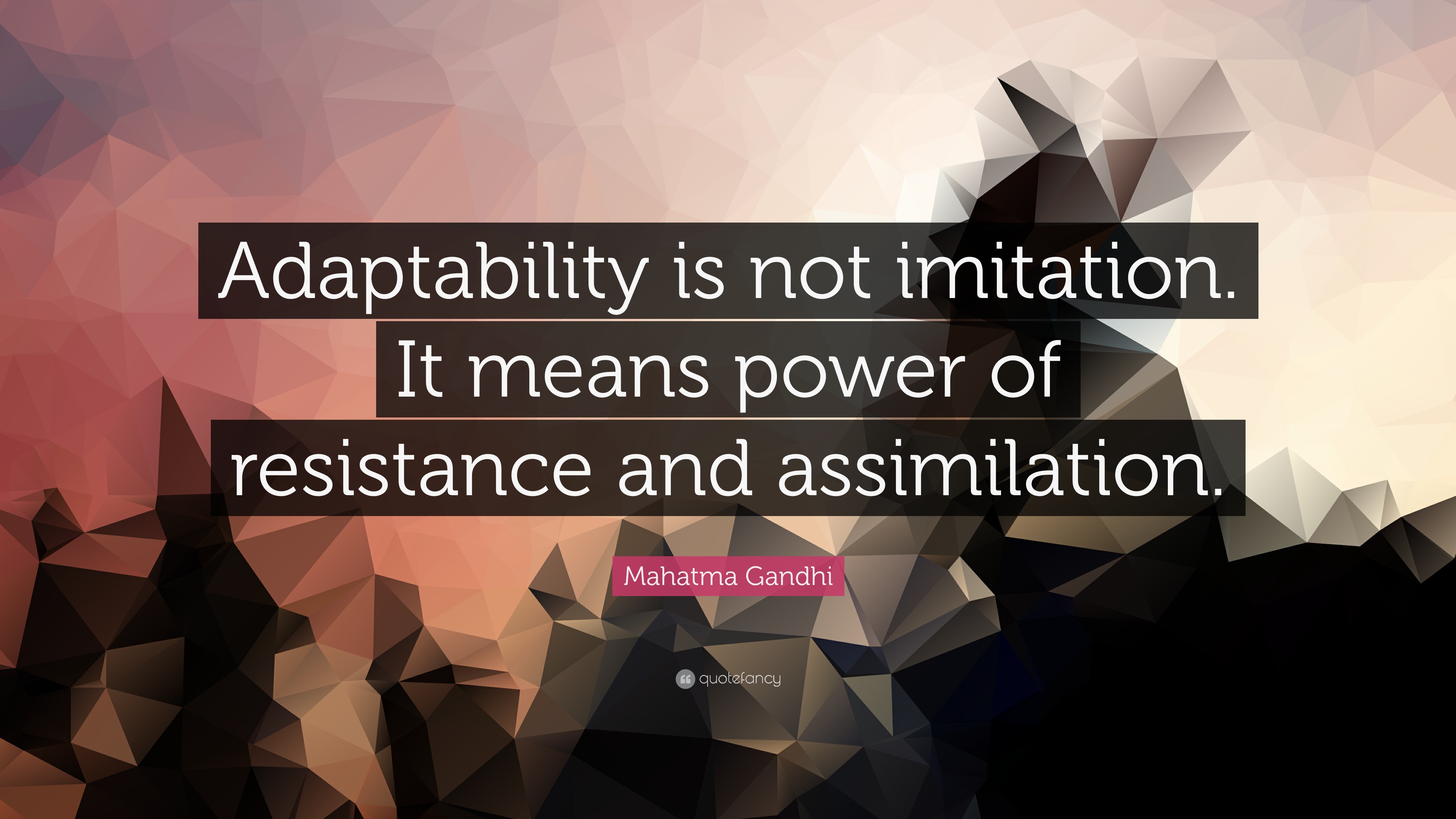 Mahatma Gandhi Quote “Adaptability is not imitation. It means power of