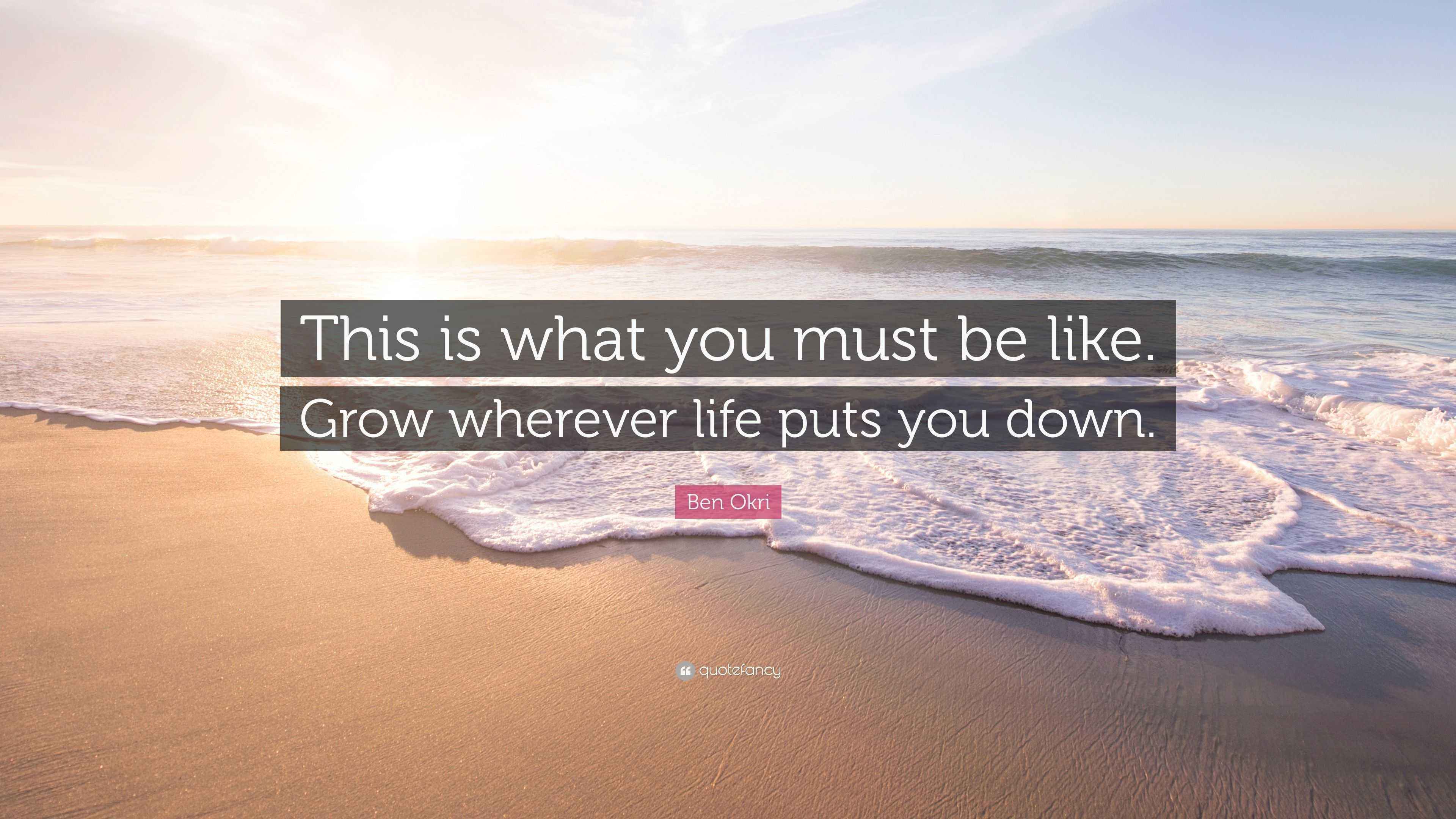 Ben Okri Quote “This is what you must be like. Grow wherever life puts