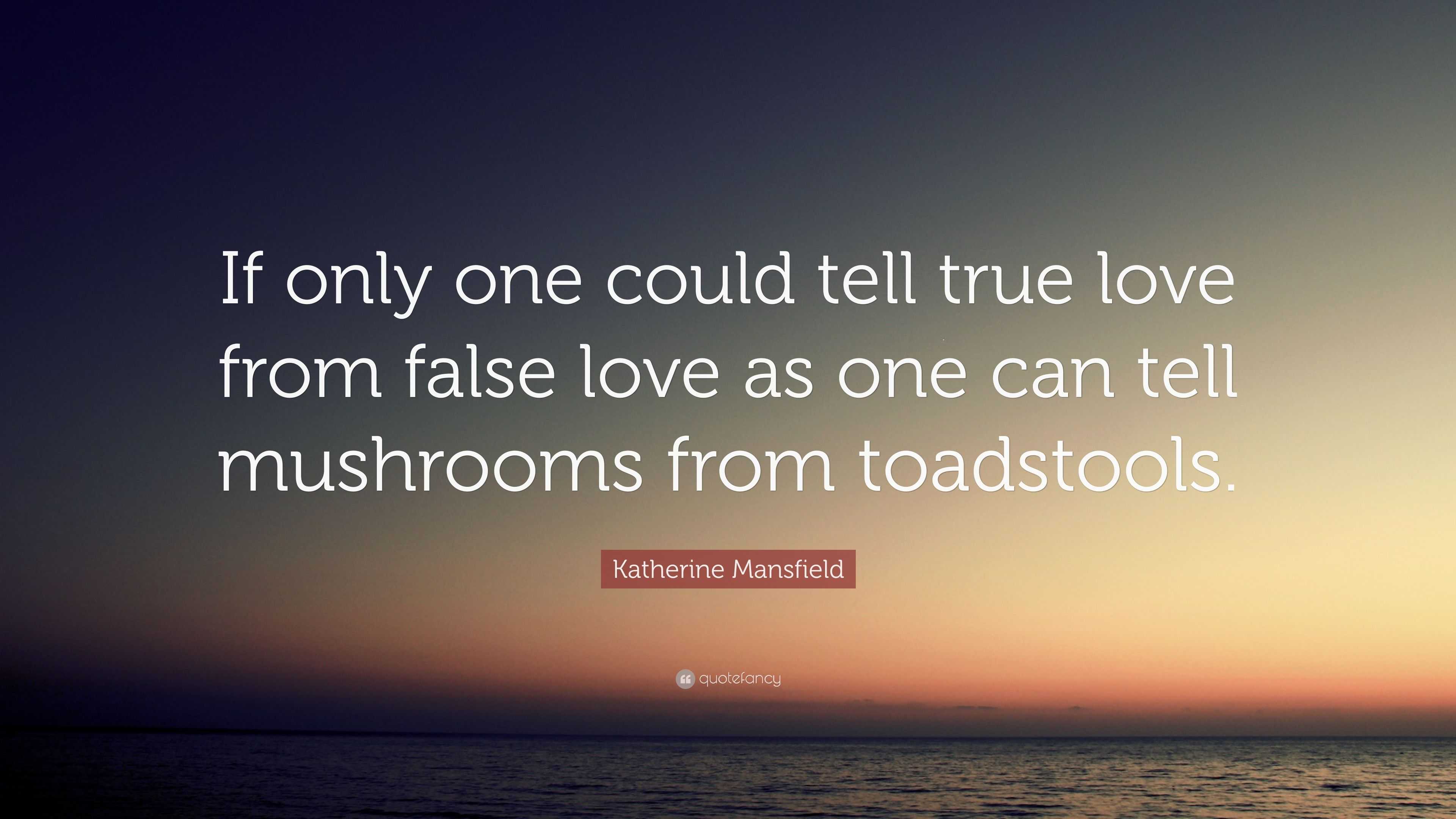 True-False Lover.