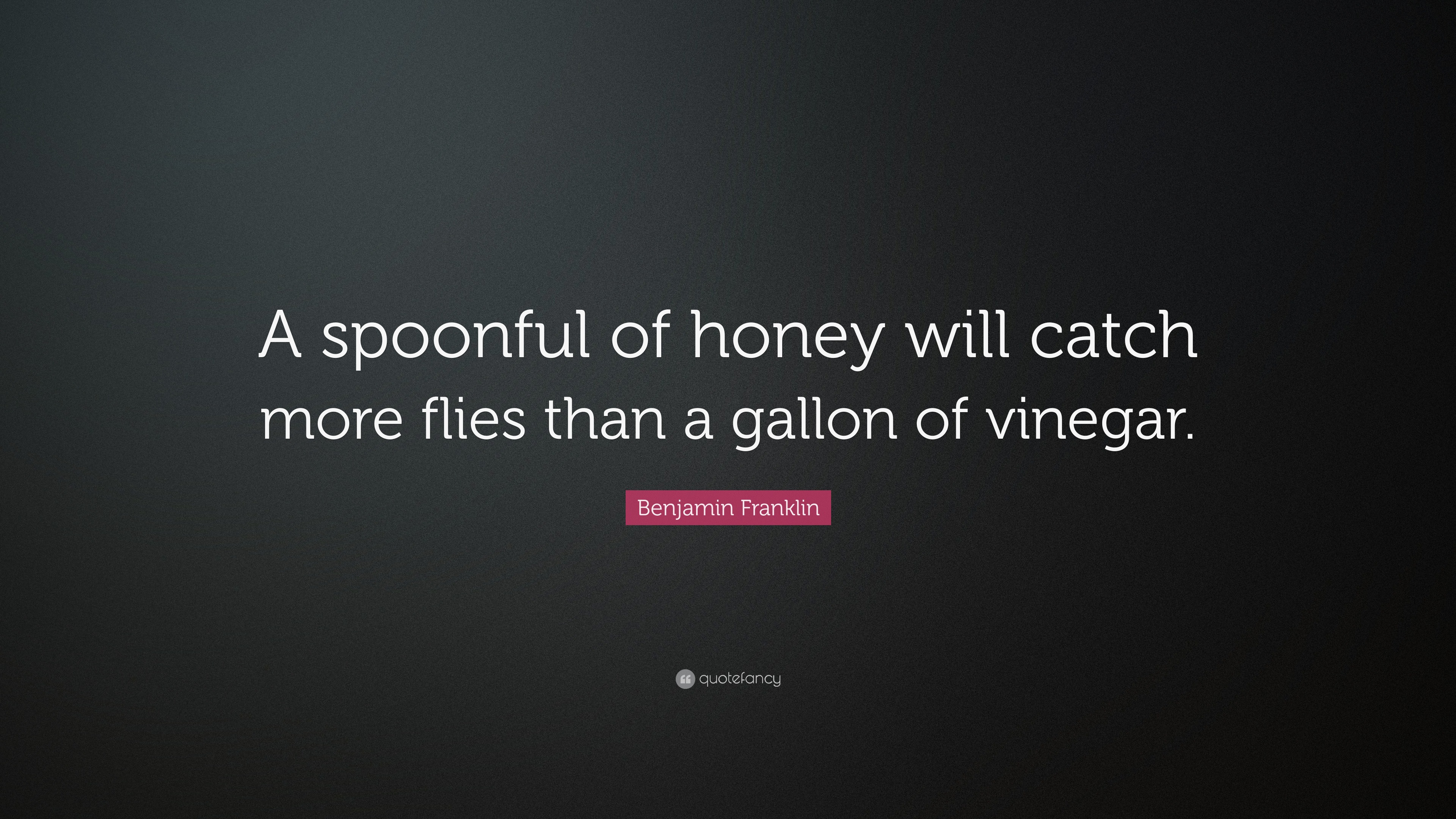 a spoonful of honey will catch more flies