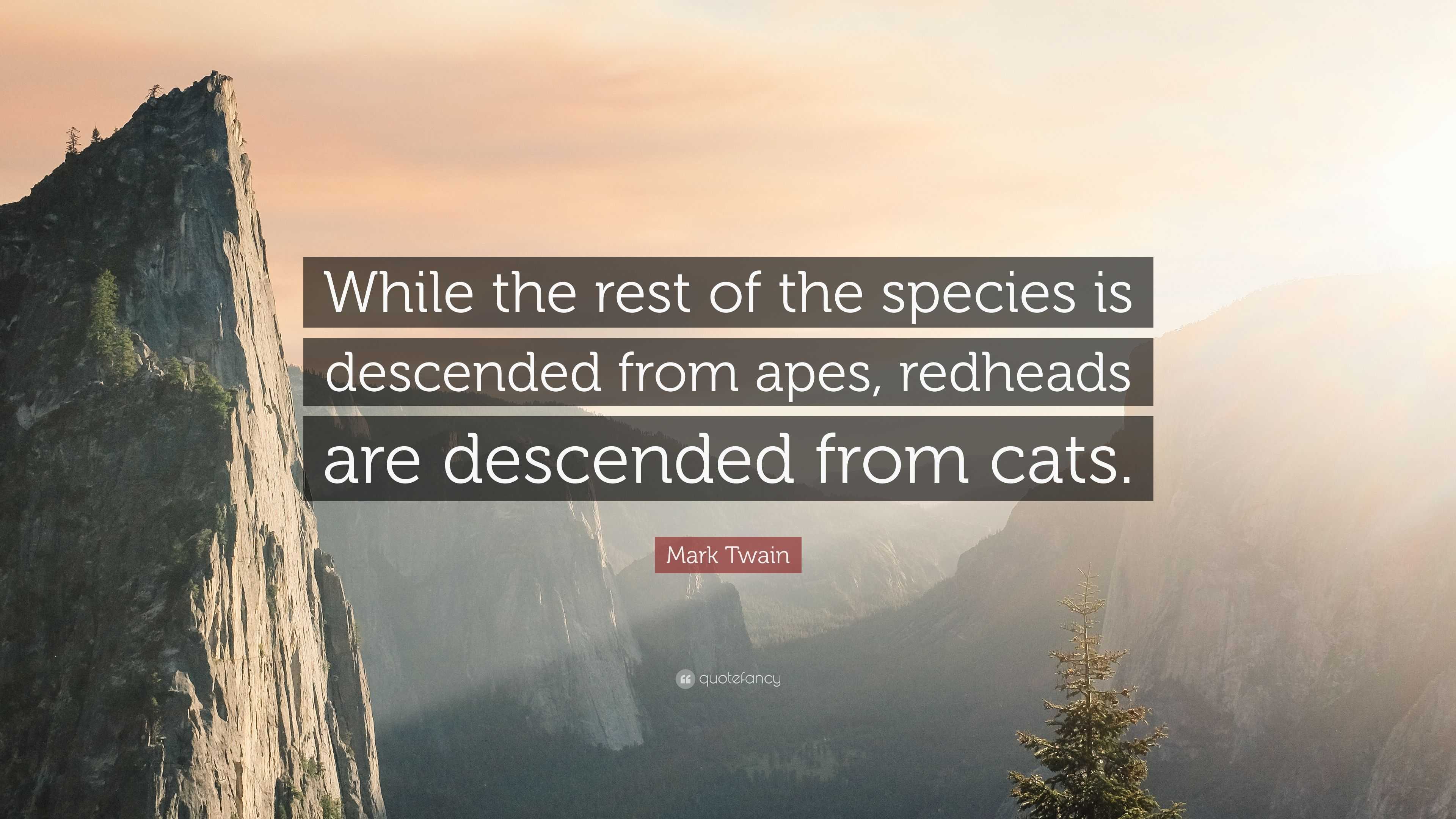 Mark Twain Quote “While the rest of the species is descended from apes