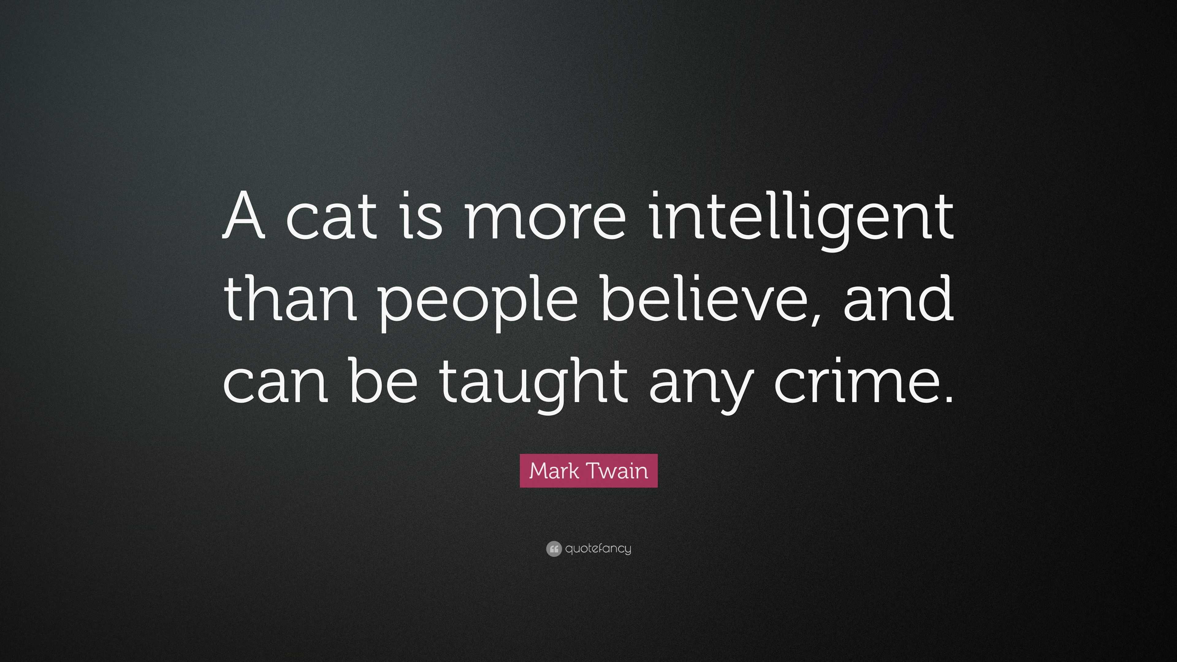 Mark Twain Quote: “A cat is more intelligent than people believe, and ...