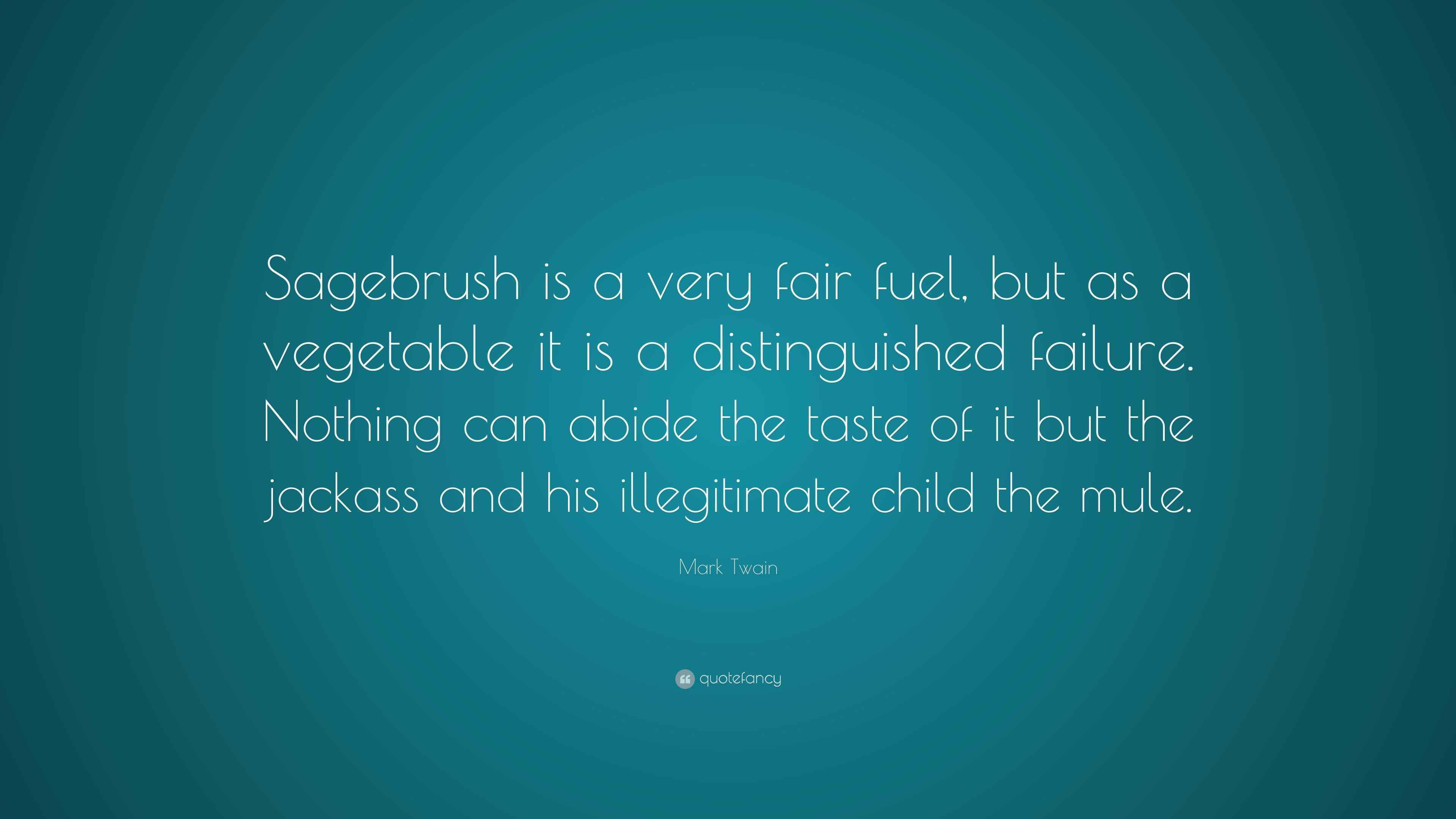 Mark Twain Quote “Sagebrush is a very fair fuel, but as a vegetable it