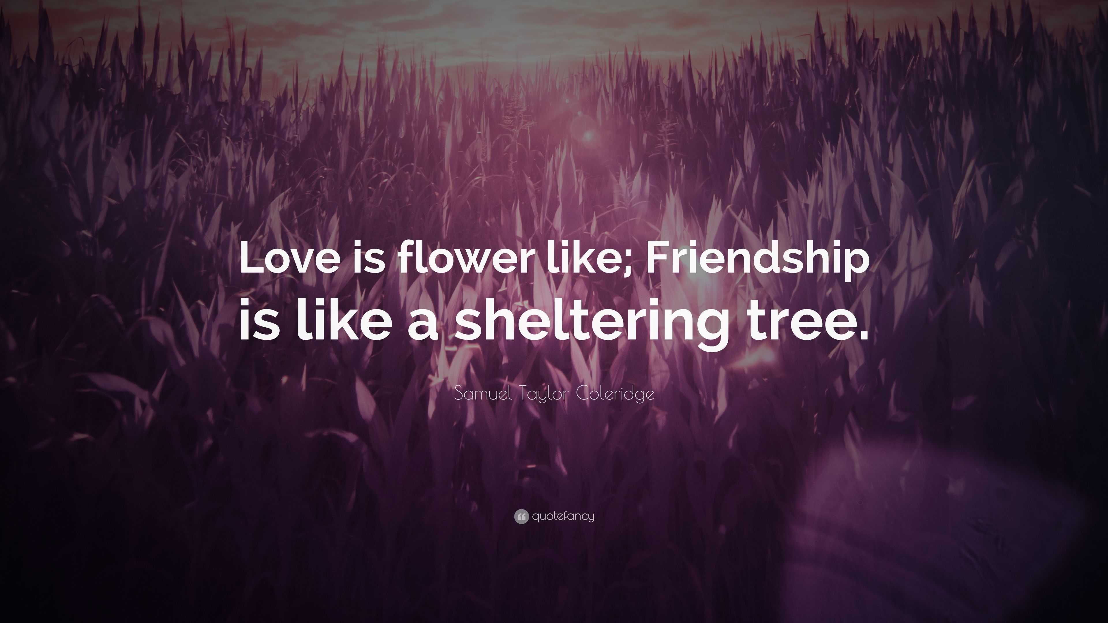 Samuel Taylor Coleridge Quote: “Love is flower like; Friendship is like ...