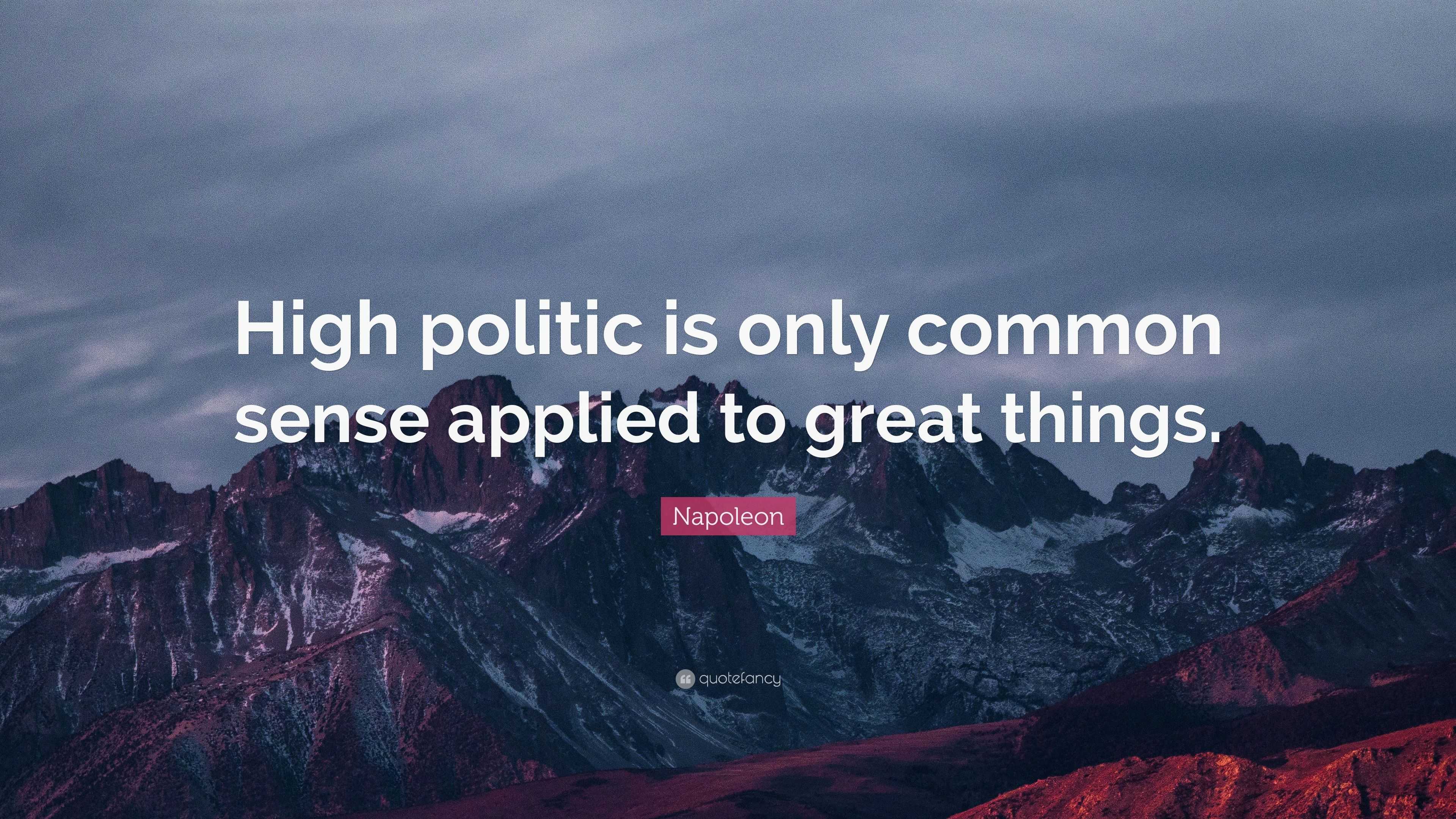 Napoleon Quote “High politic is only common sense applied to great
