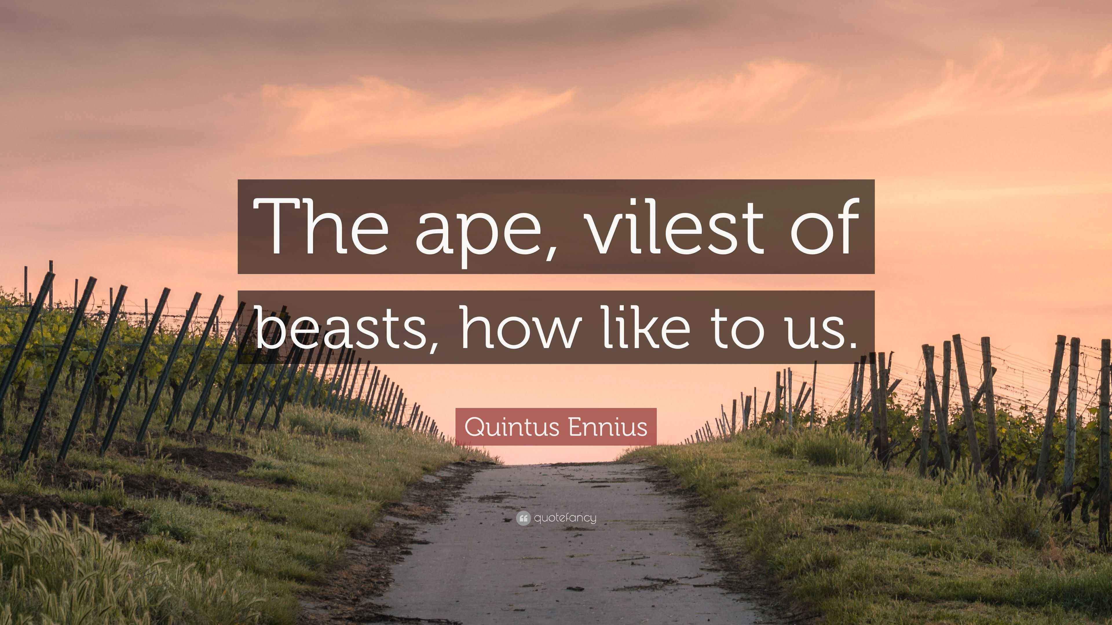 Quintus Ennius Quote “The ape, vilest of beasts, how like to us.”