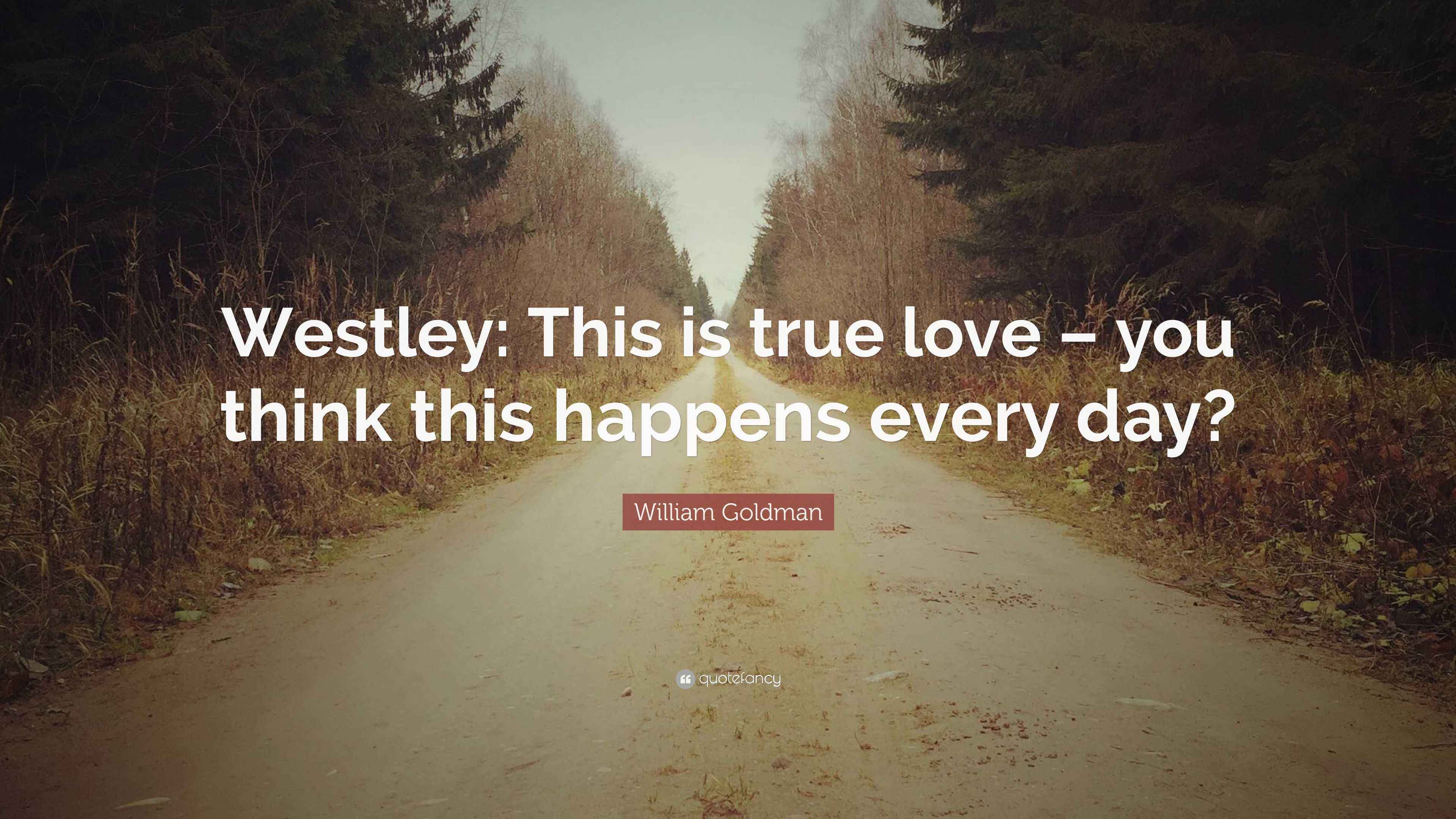 William Goldman Quote “Westley This is true love you think this happens every day?”