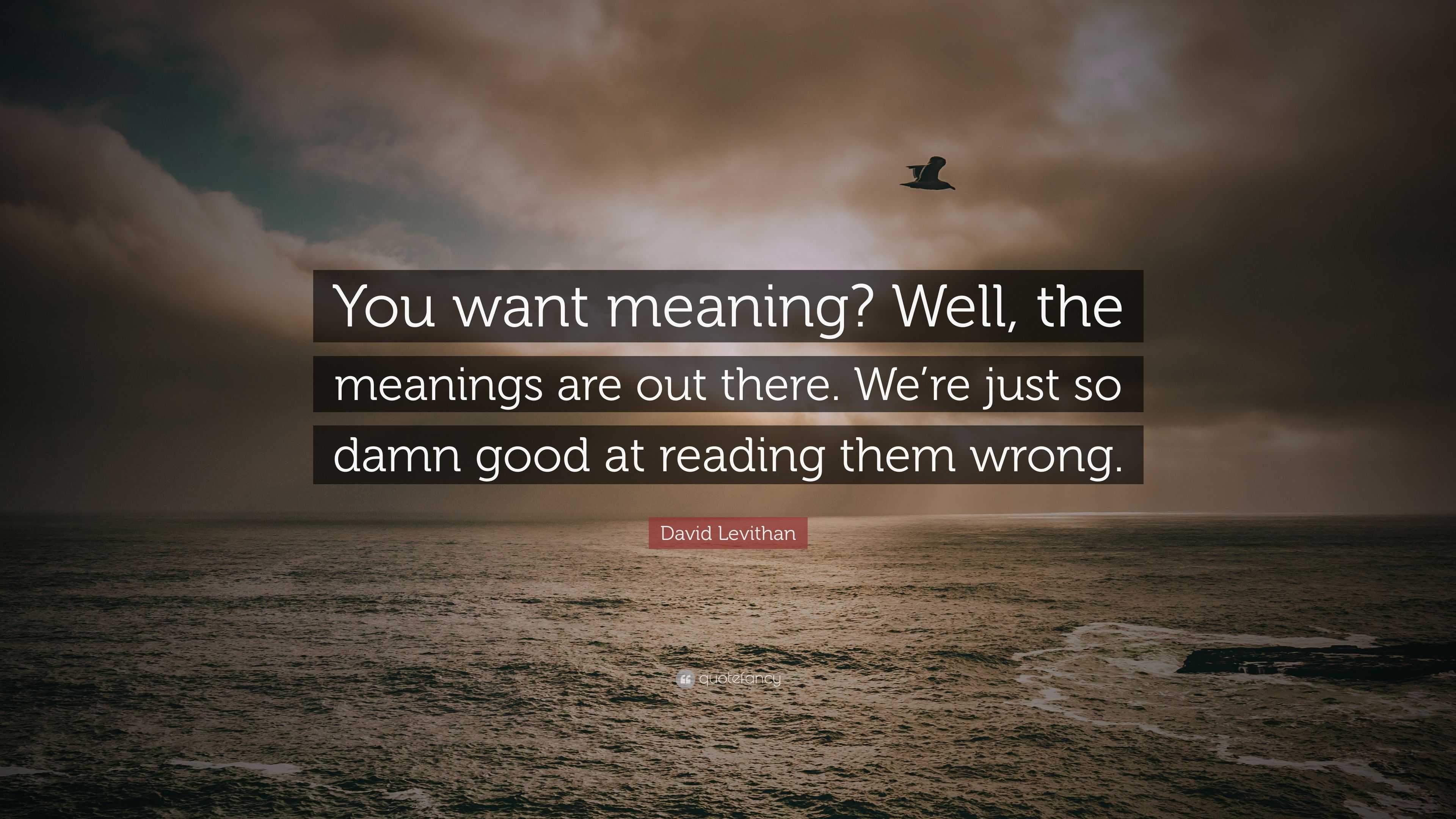 David Levithan Quote You Want Meaning Well The Meanings Are Out 