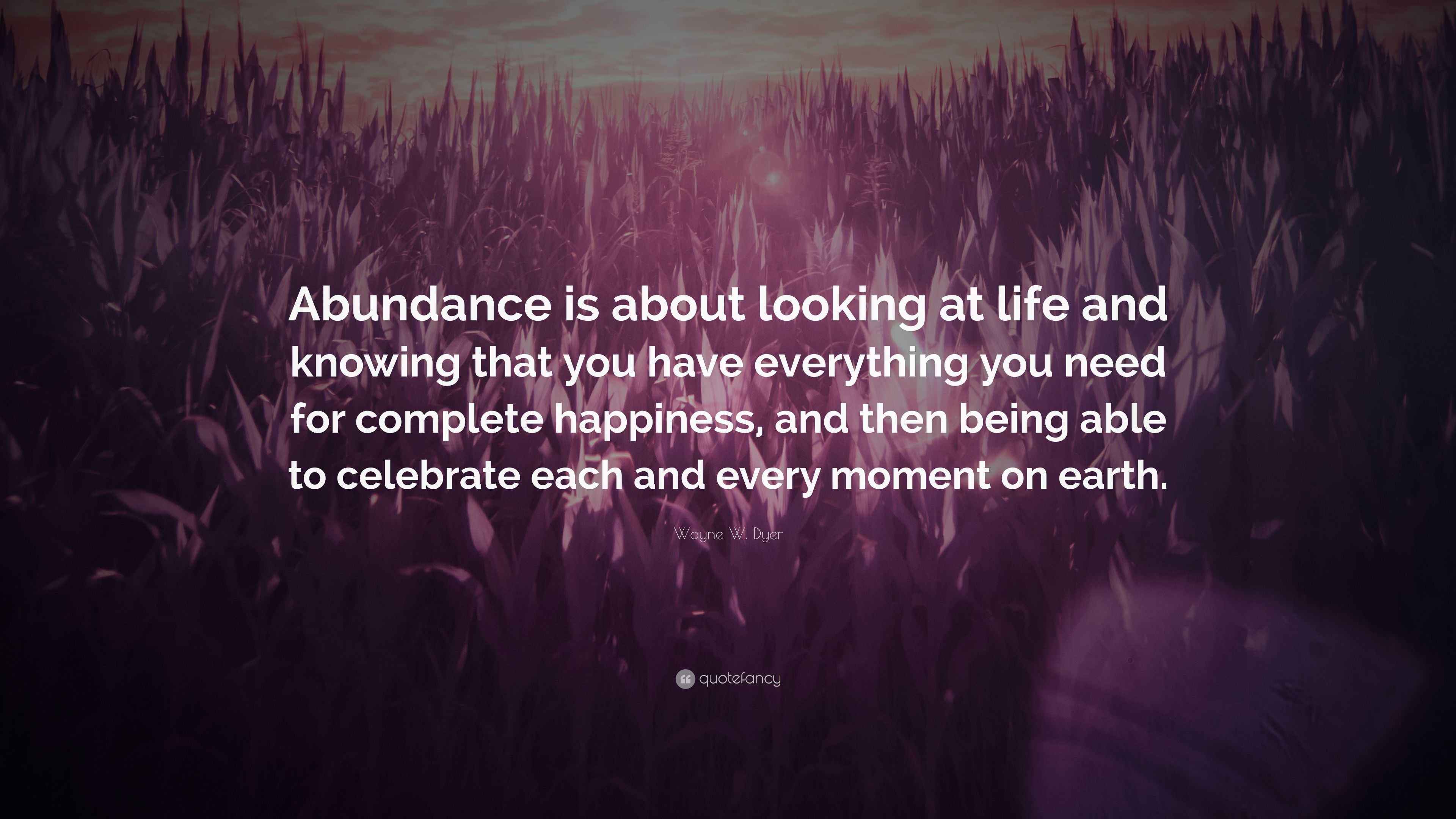 Wayne W. Dyer Quote “Abundance is about looking at life