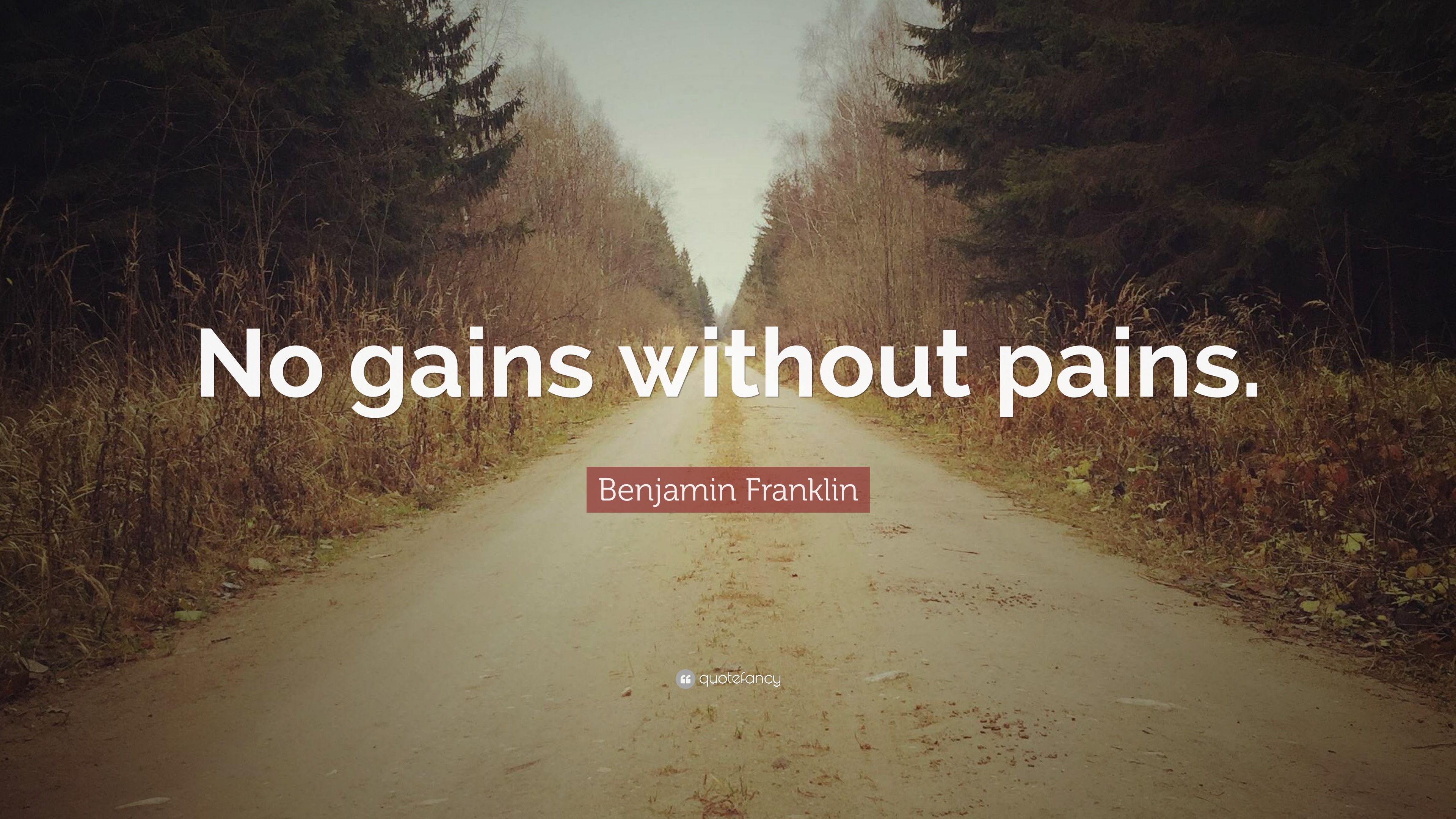 Benjamin Franklin Quote: “No gains without pains.”