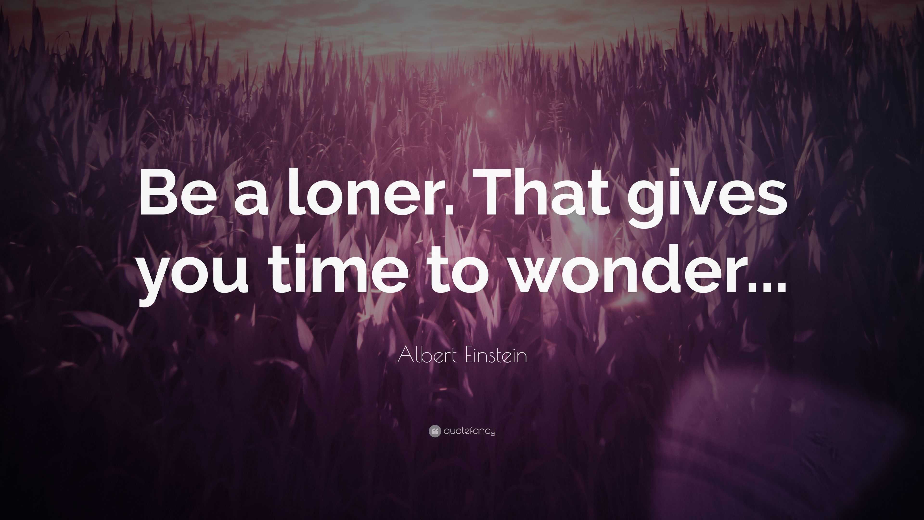 Albert Einstein Quote: “Be a loner. That gives you time to wonder...”