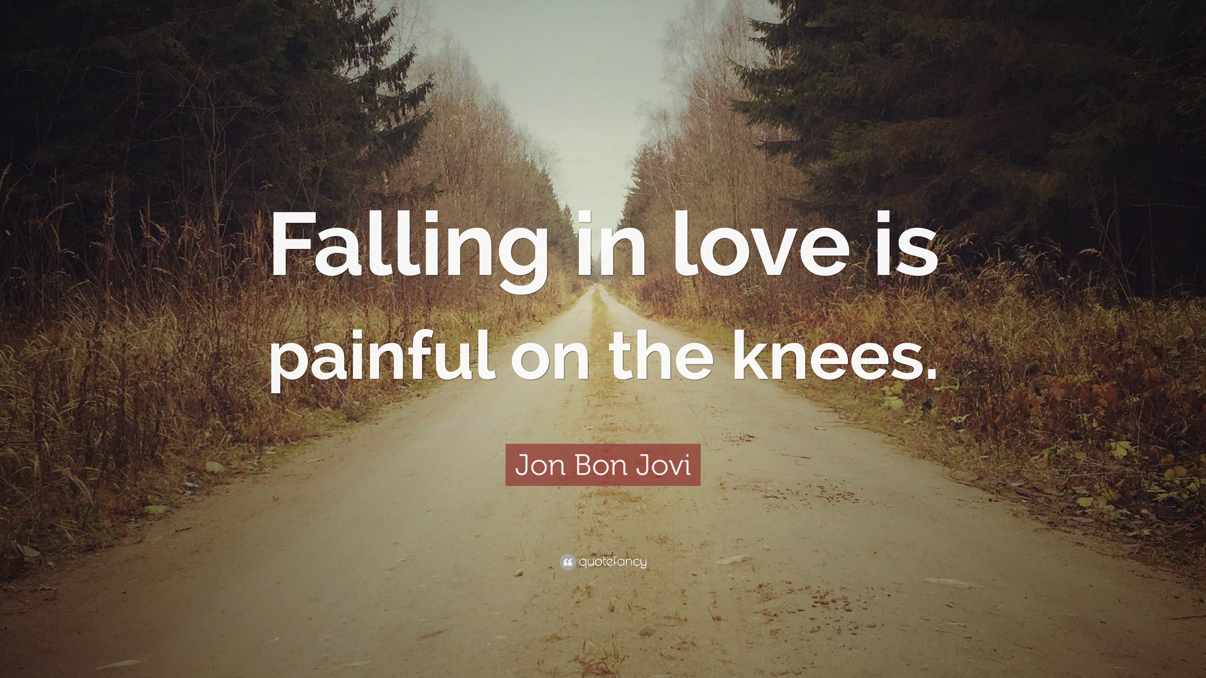 Jon Bon Jovi Quote “Falling in love is painful on the knees ”
