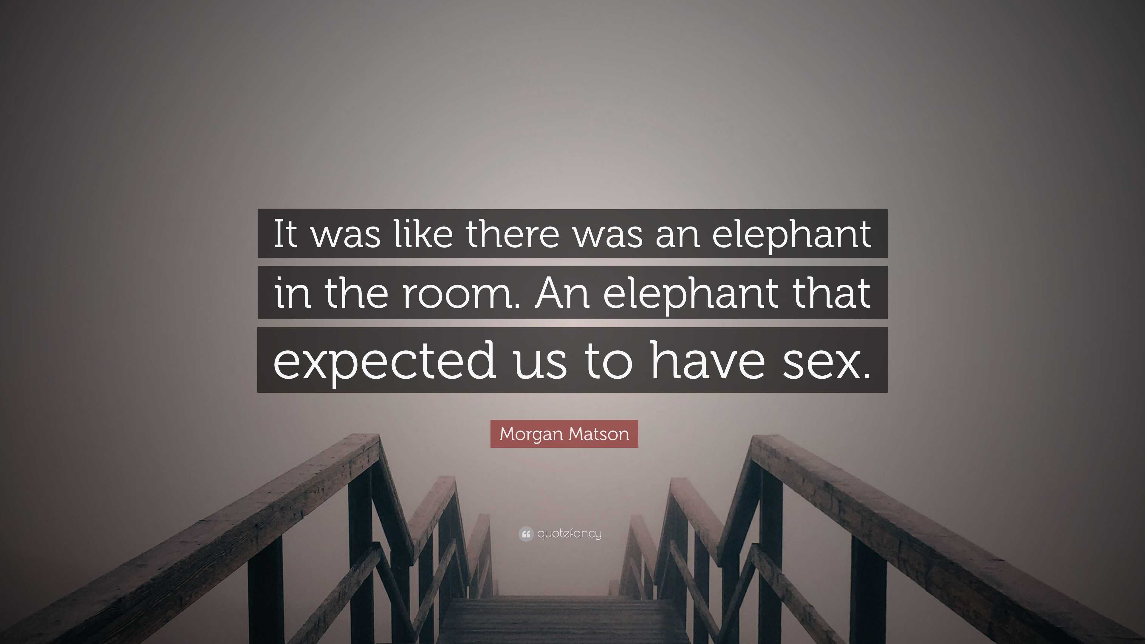 Morgan Matson Quote: “It was like there was an elephant in the room. An  elephant that