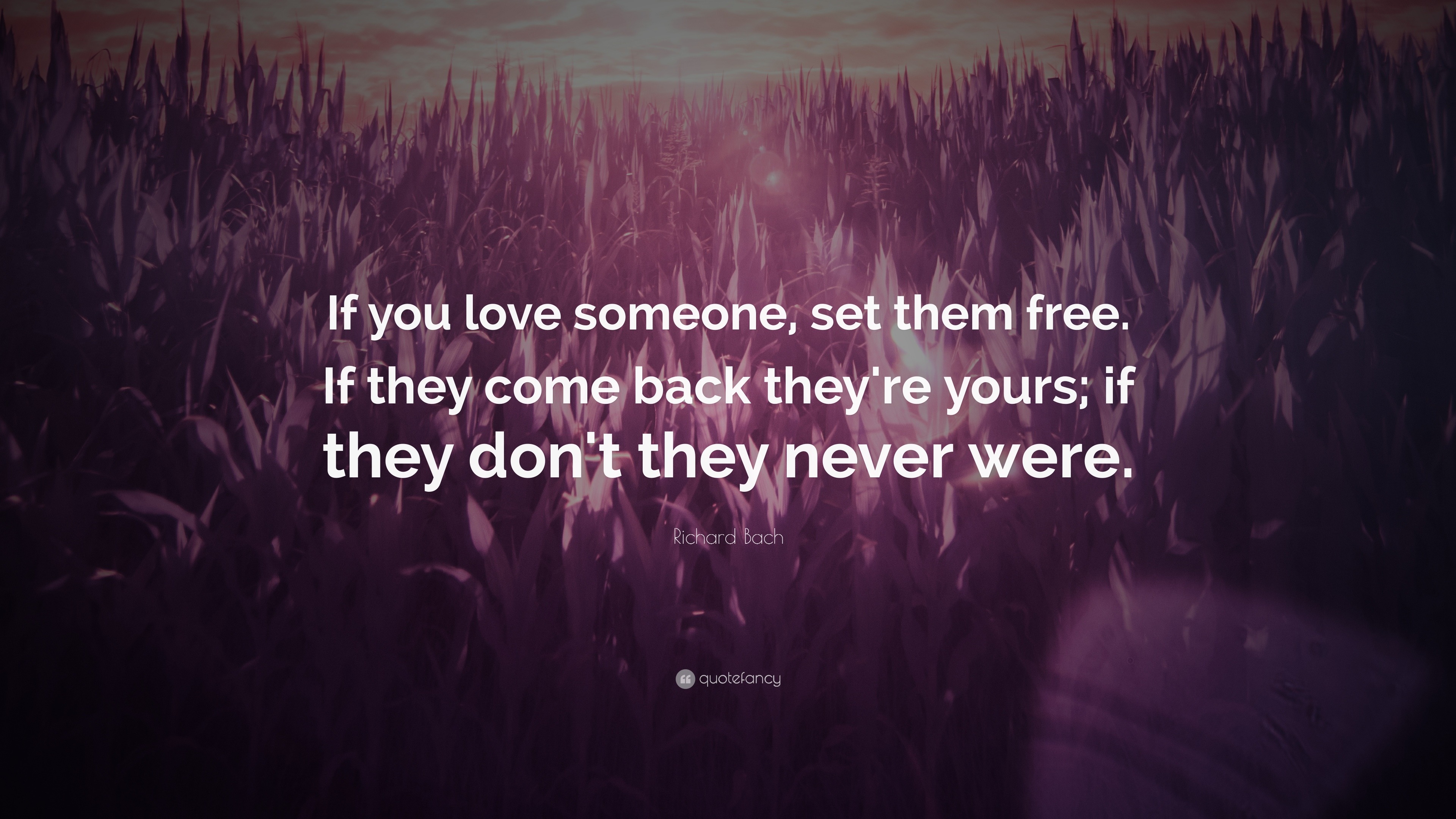 Richard Bach Quote: “If you love someone, set them free. If they come