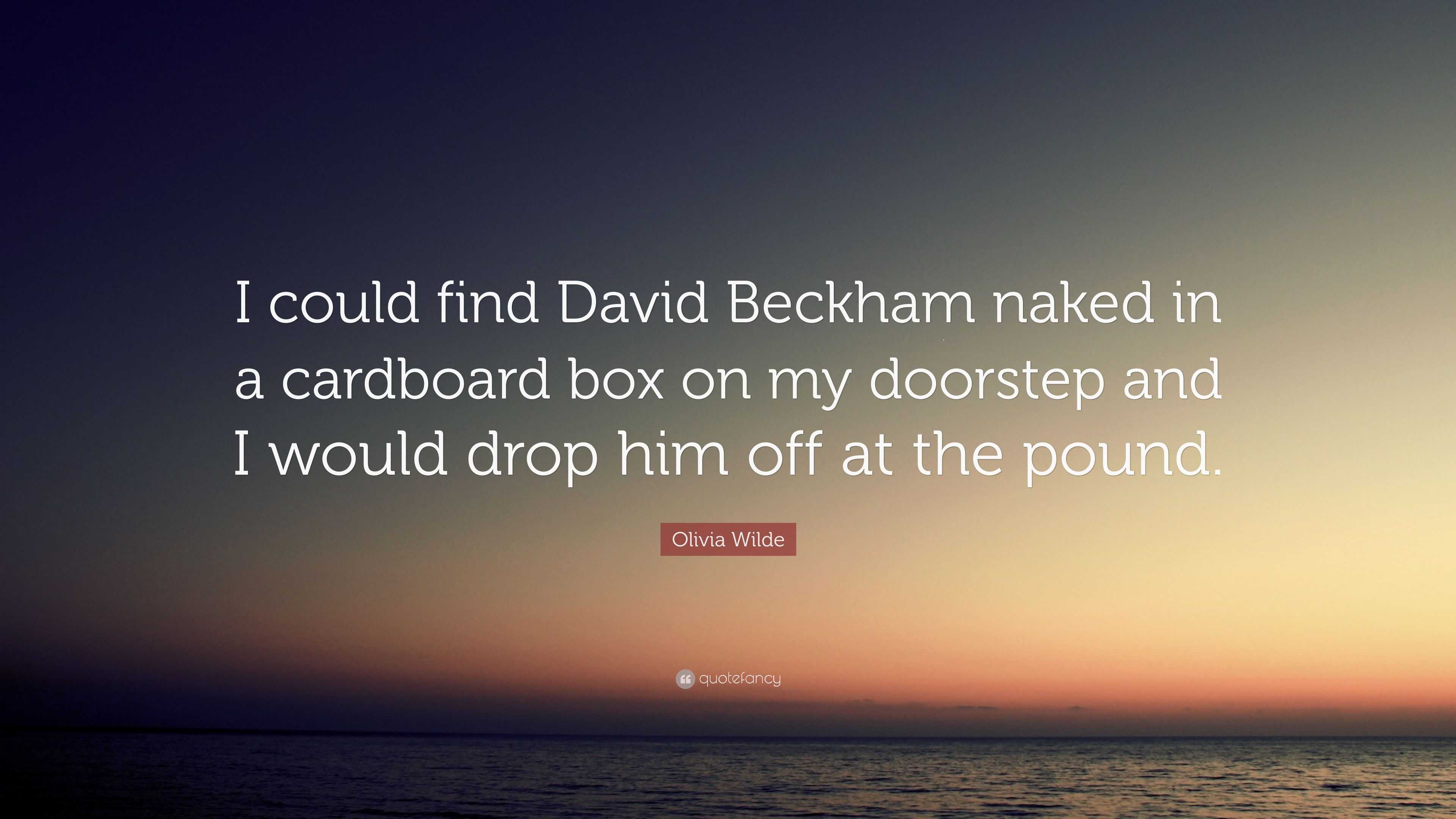 Olivia Wilde Quote: “I could find David Beckham naked in a cardboard box on  my doorstep