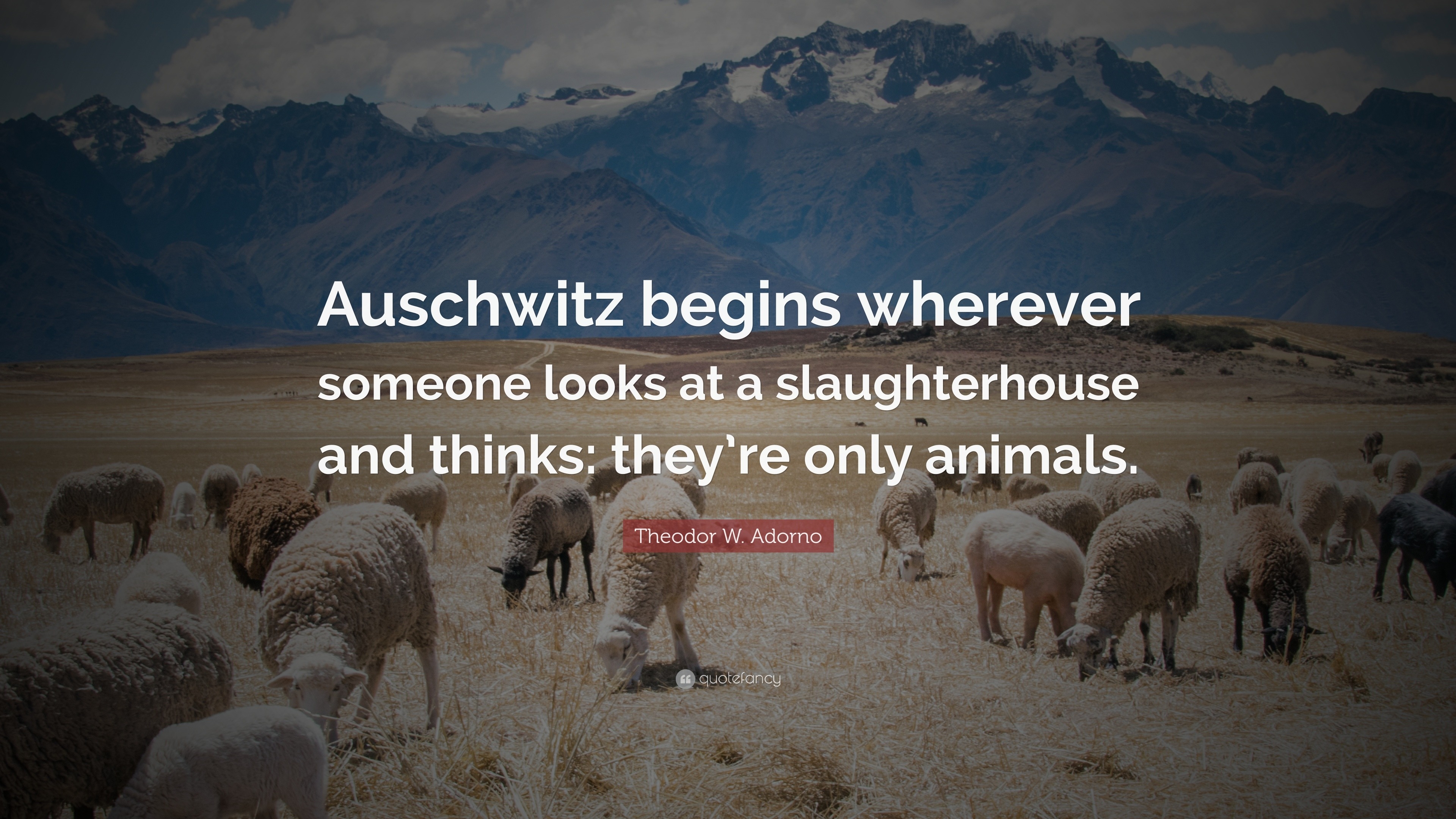 Theodor W. Adorno Quote “Auschwitz begins wherever someone looks at a