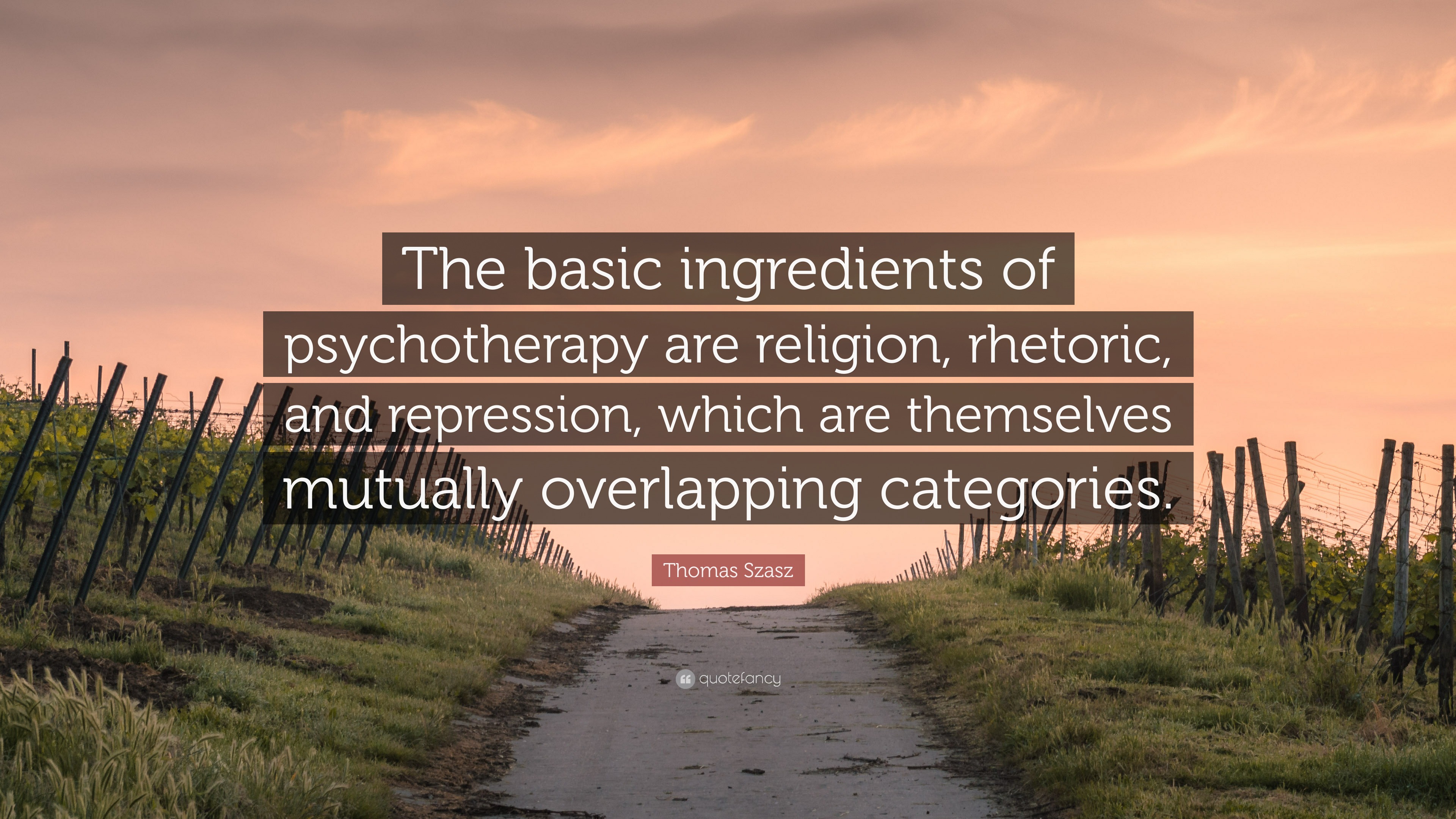 Thomas Szasz Quote: “The basic ingredients of psychotherapy are